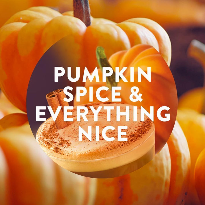 Air Wick - Pumpkin & Winter Spice Aerosol-Free Automatic Air Freshener Spray Kit