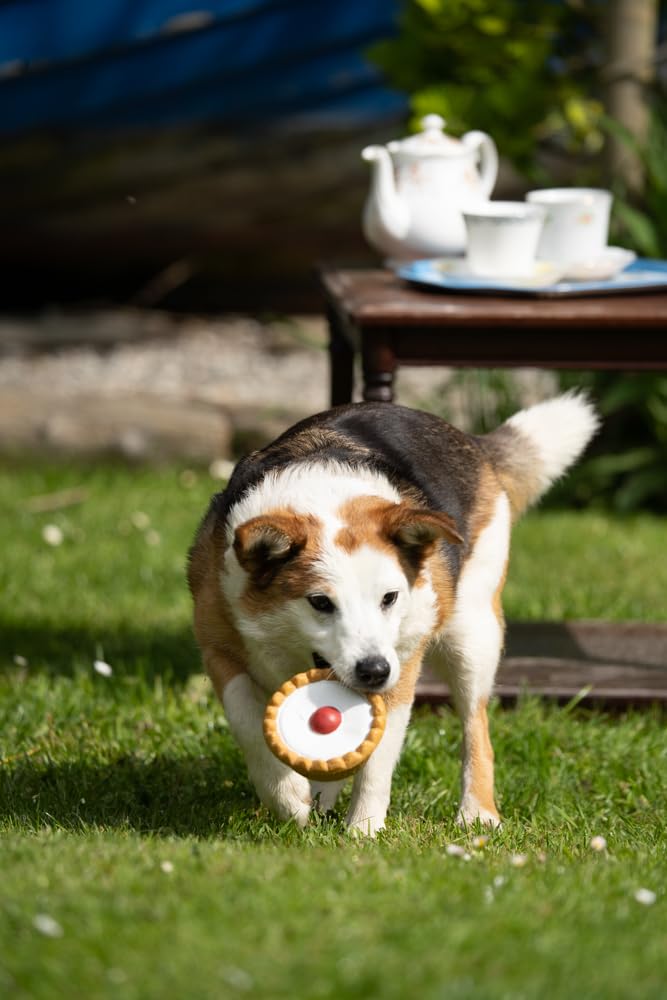 Petface Cherry Bakewell Latex Dog Toy with Built-In Squeaker | Durable Chew Toy for All Breeds