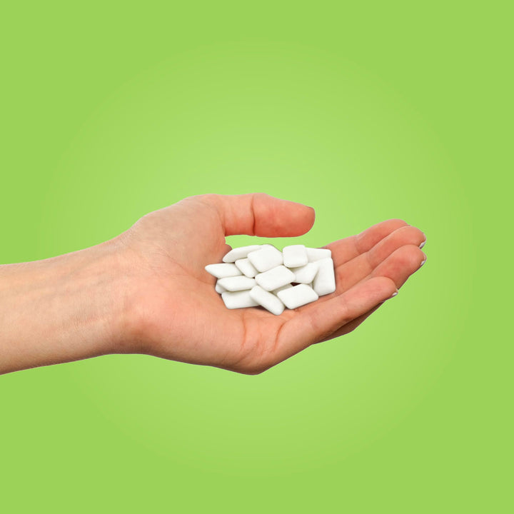 PUR Gum - Natural Coolmint Sugar-Free Chewing Gum (55 Pieces, Pack of 3)