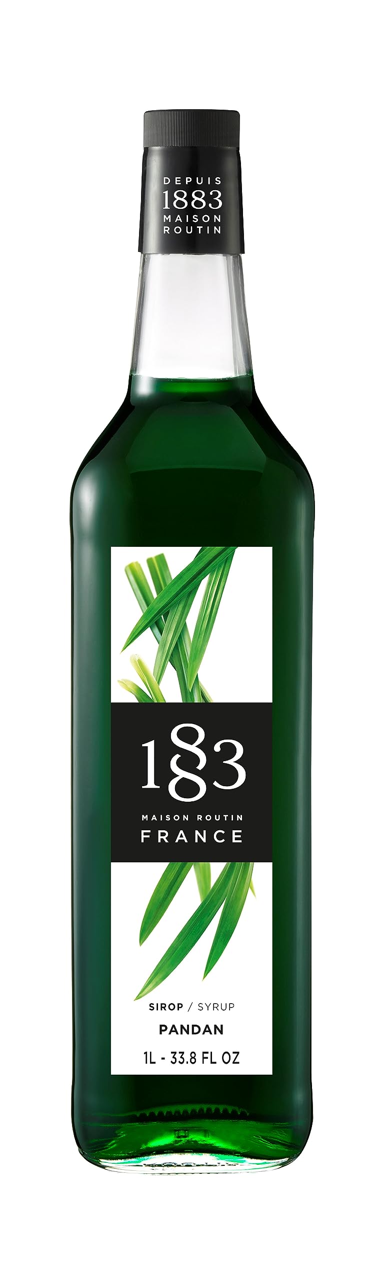 1883 MAISON ROUTIN Pandan Syrup - Aromatic Flavor for Lattes, Cocktails & Desserts | 1 L
