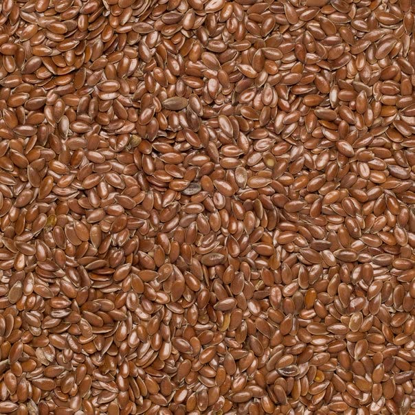Wholefood Earth Organic Brown Linseed/Flaxseed - Raw, High Fibre | 2 kg 4