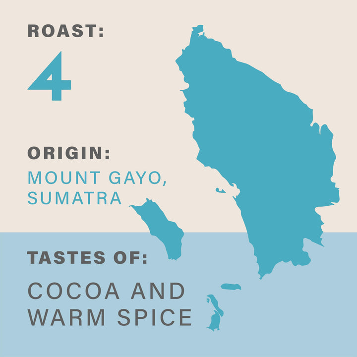 Grumpy Mule Sumatra Mount Gayo Organic Whole Coffee Beans - Fairtrade, Medium-Dark Roast with Cocoa & Warm Spice Notes