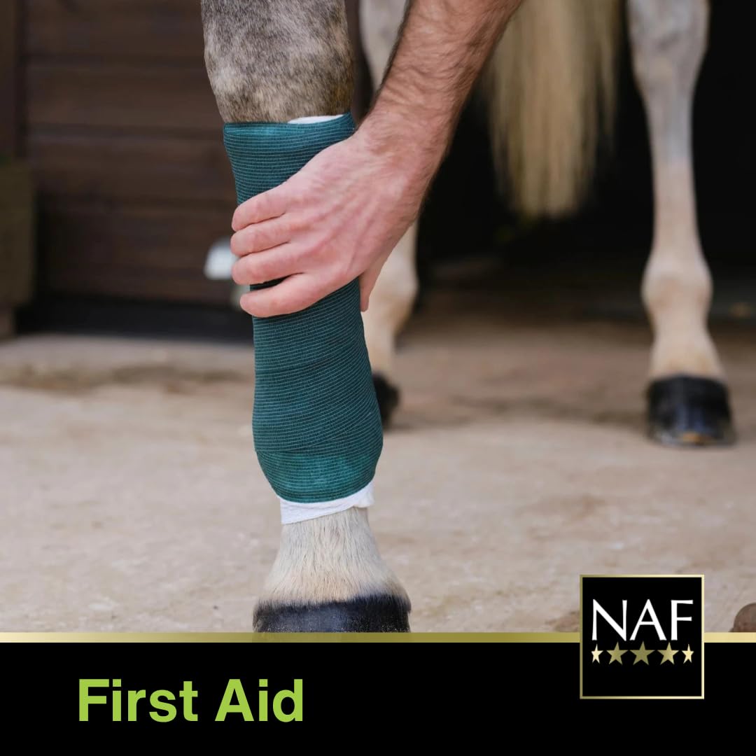 NAF NaturalintX Arnica Gel for Horses - 400g | Fast-Absorbing Muscle & Joint Care 5