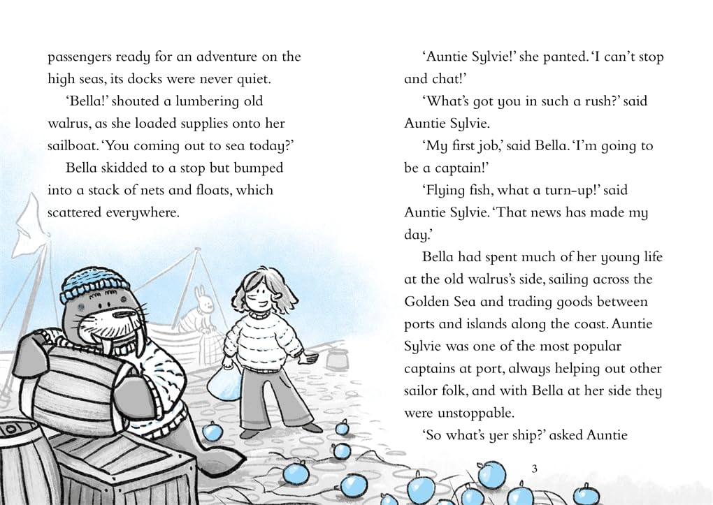 Piccadilly Press Captain Sunshine - Animal Adventure Book | Ages 5+ | Paperback 3