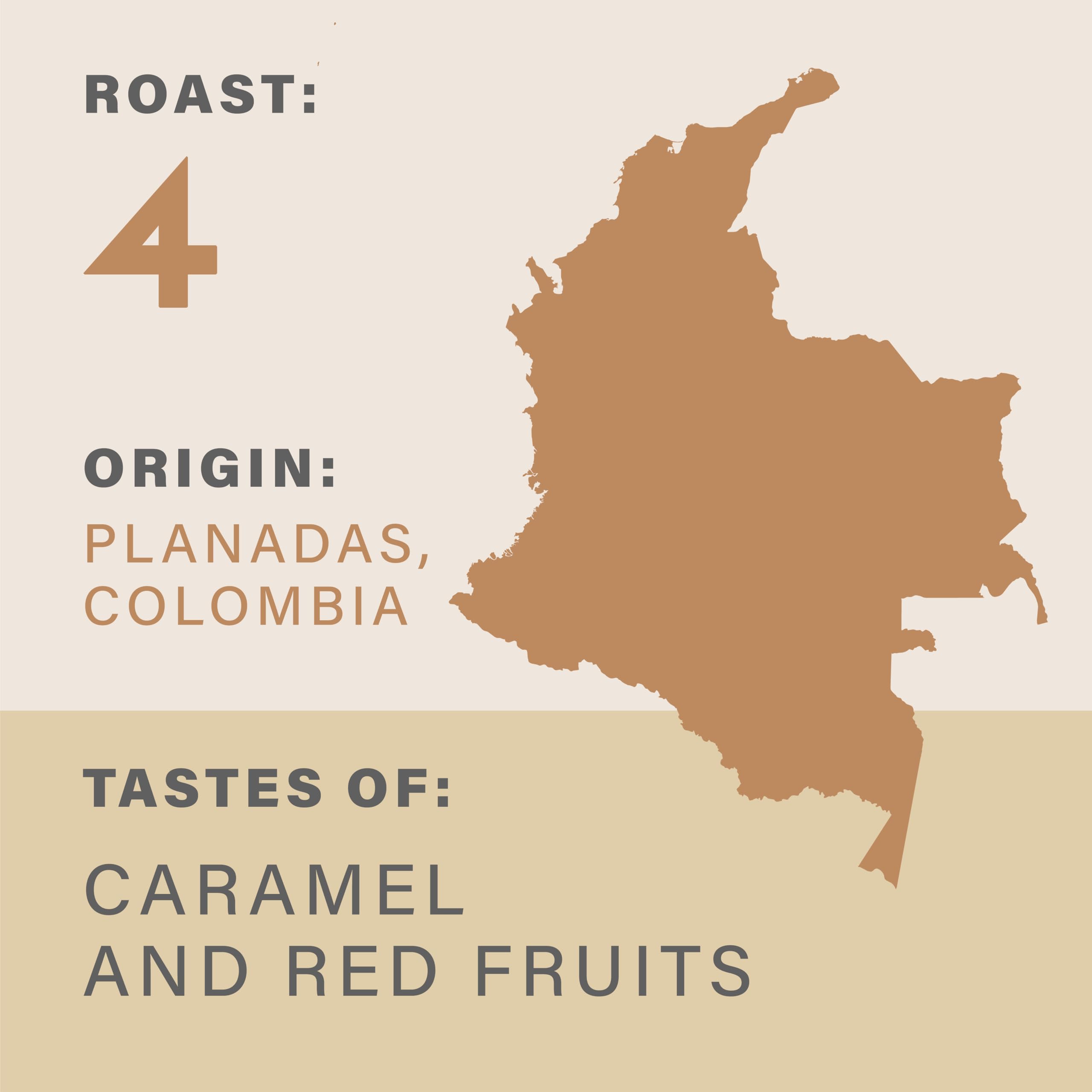 Grumpy Mule Colombia Planadas Organic Whole Coffee Beans - Medium-Dark Roast | Caramel & Red Fruit