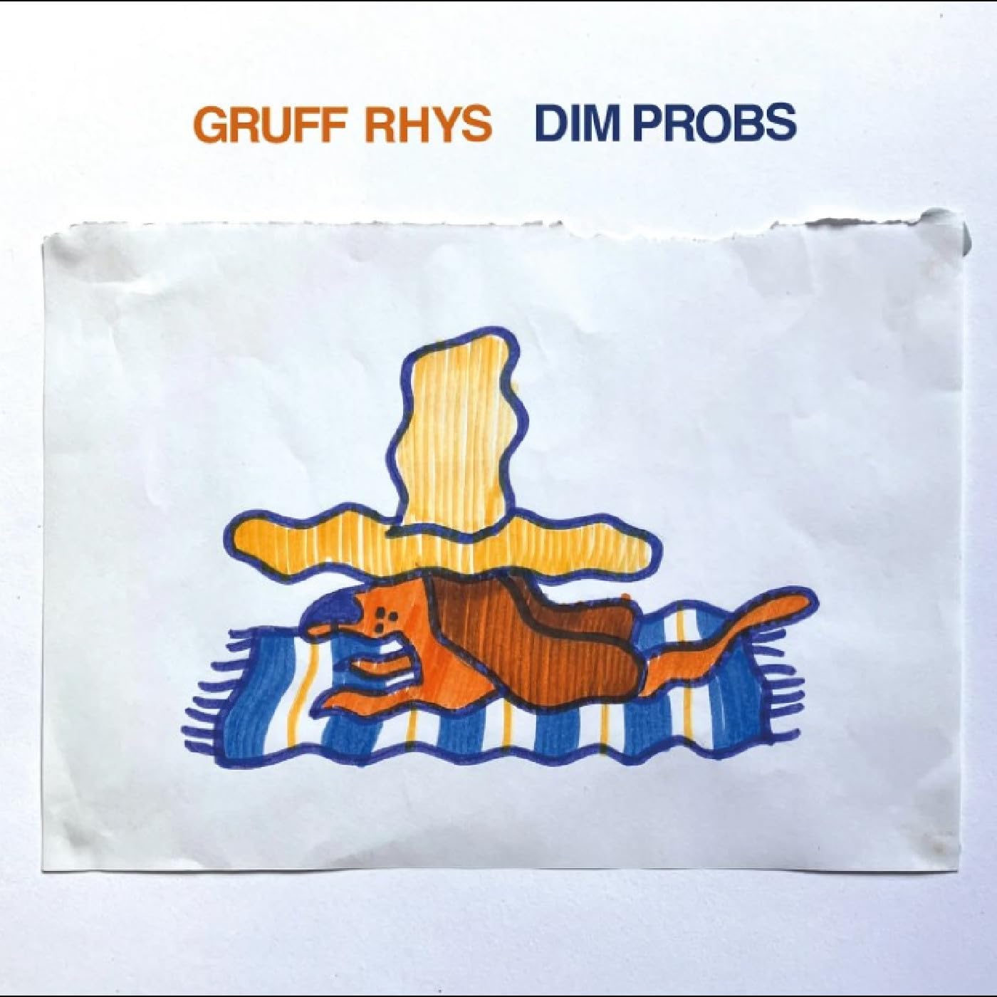 Gruff Rhys - Dim Probs [Audio CD] 1