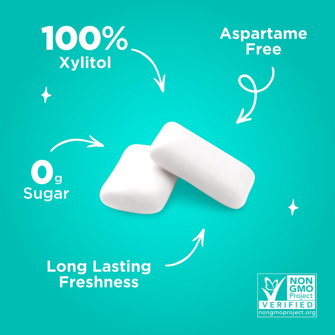 PUR - Natural Wintergreen Sugar-Free Chewing Gum (55 Pieces, Pack of 6)