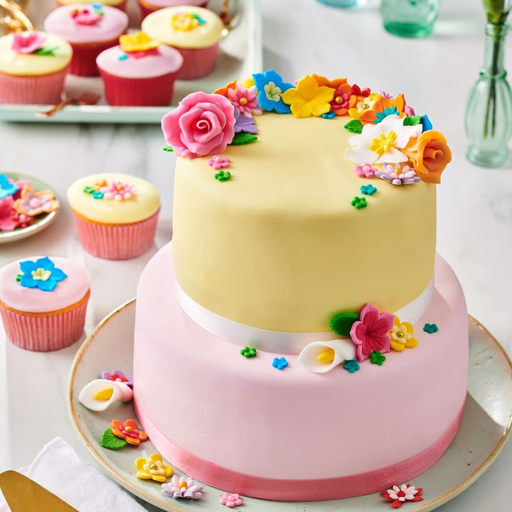 FunCakes Fondant Multipack Pastel Colors - 5 x 100g Vanilla Rolled Sugar Paste