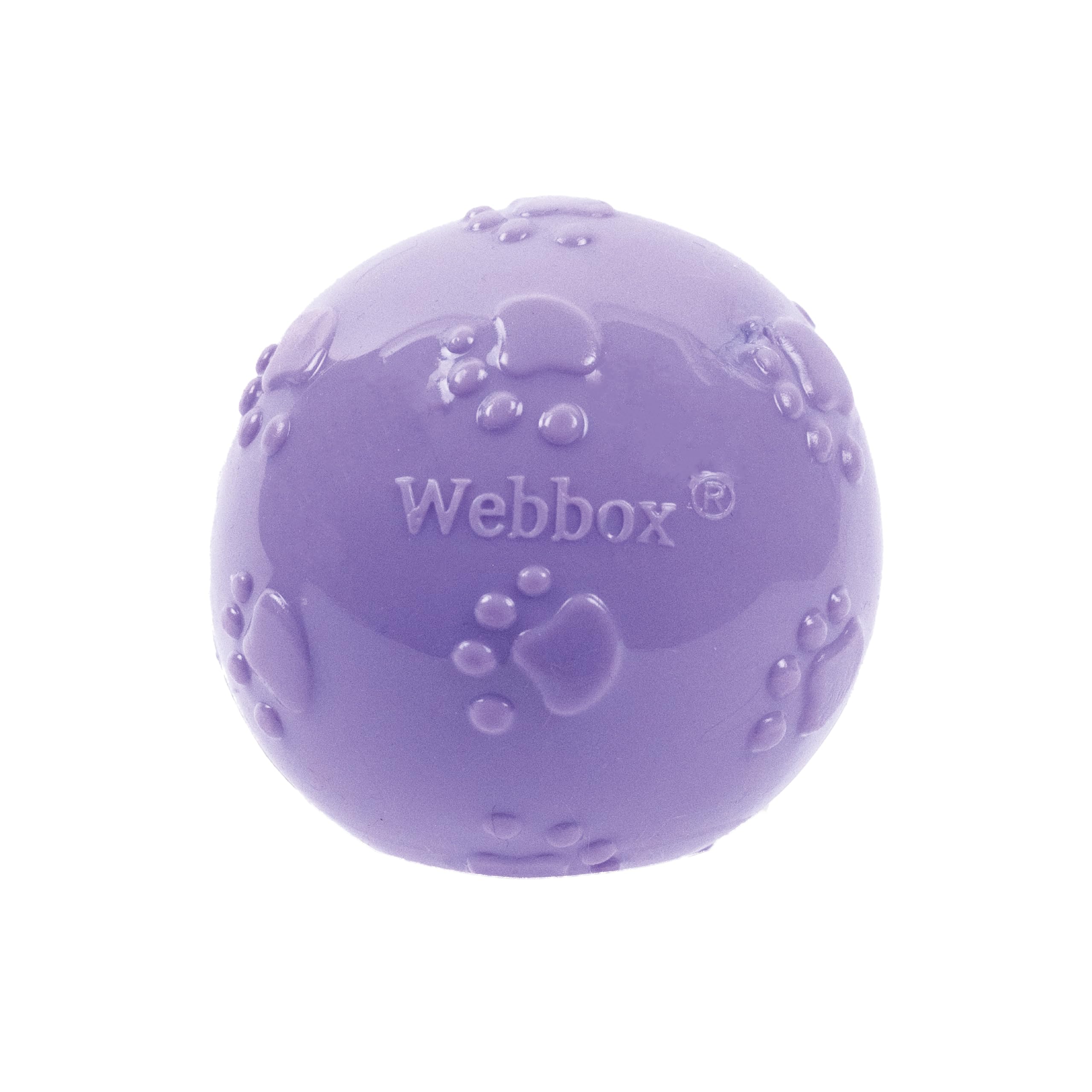 Webbox Fun & Squeaky Balls - 4 Pack for All Breed Sizes | Anxiety Relief | Exercise 5