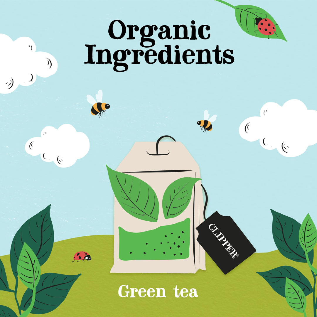 Clipper Organic Pure Green Tea Bags - 320 Bags (4 x 80) Bulk Pack, Fairtrade & Plastic-Free