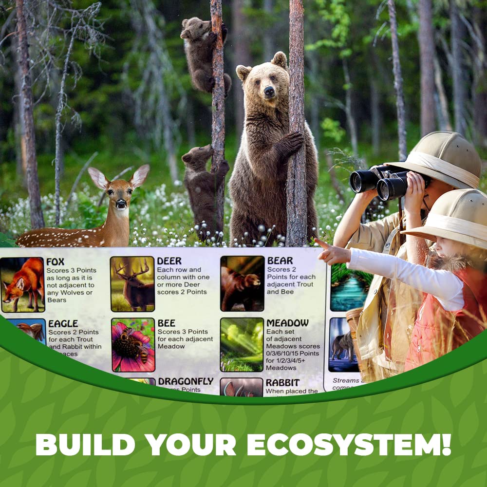Genius Games Ecosystem Ecology Board Game 14