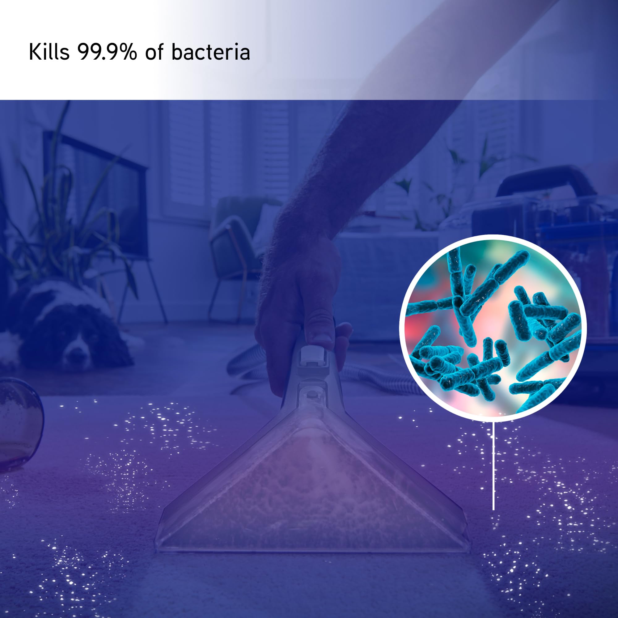 Vax SpotWash Antibacterial Carpet Cleaner Solution - 1L | Kills 99.9% Bacteria | Citrus Burst Scent