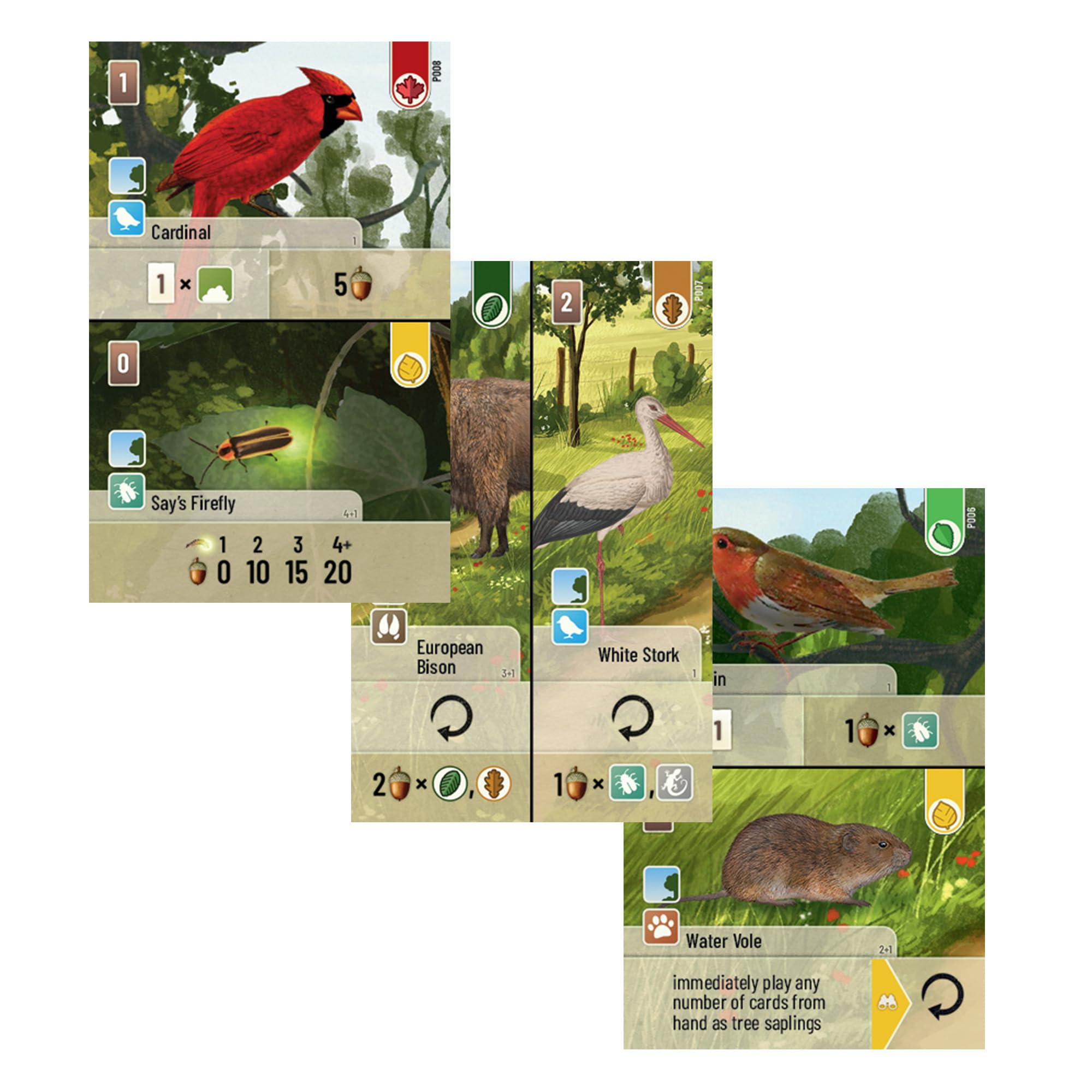 Asmodee Forest Shuffle: Exploration Board Game Expansion | Ages 10+ | 1-5 Players 3