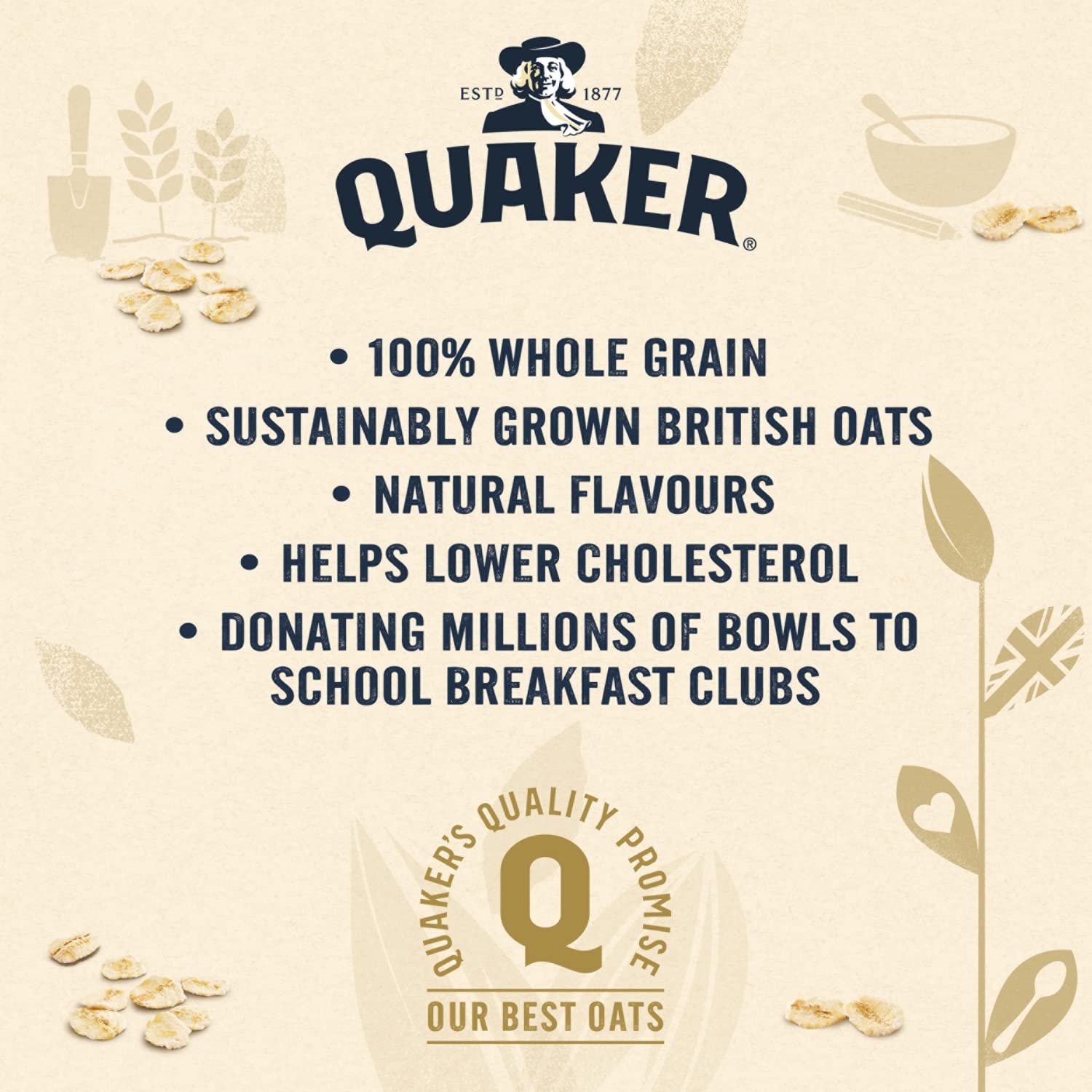 Quaker Oat So Simple Original Porridge, 10 x 27 g (270 g) 3