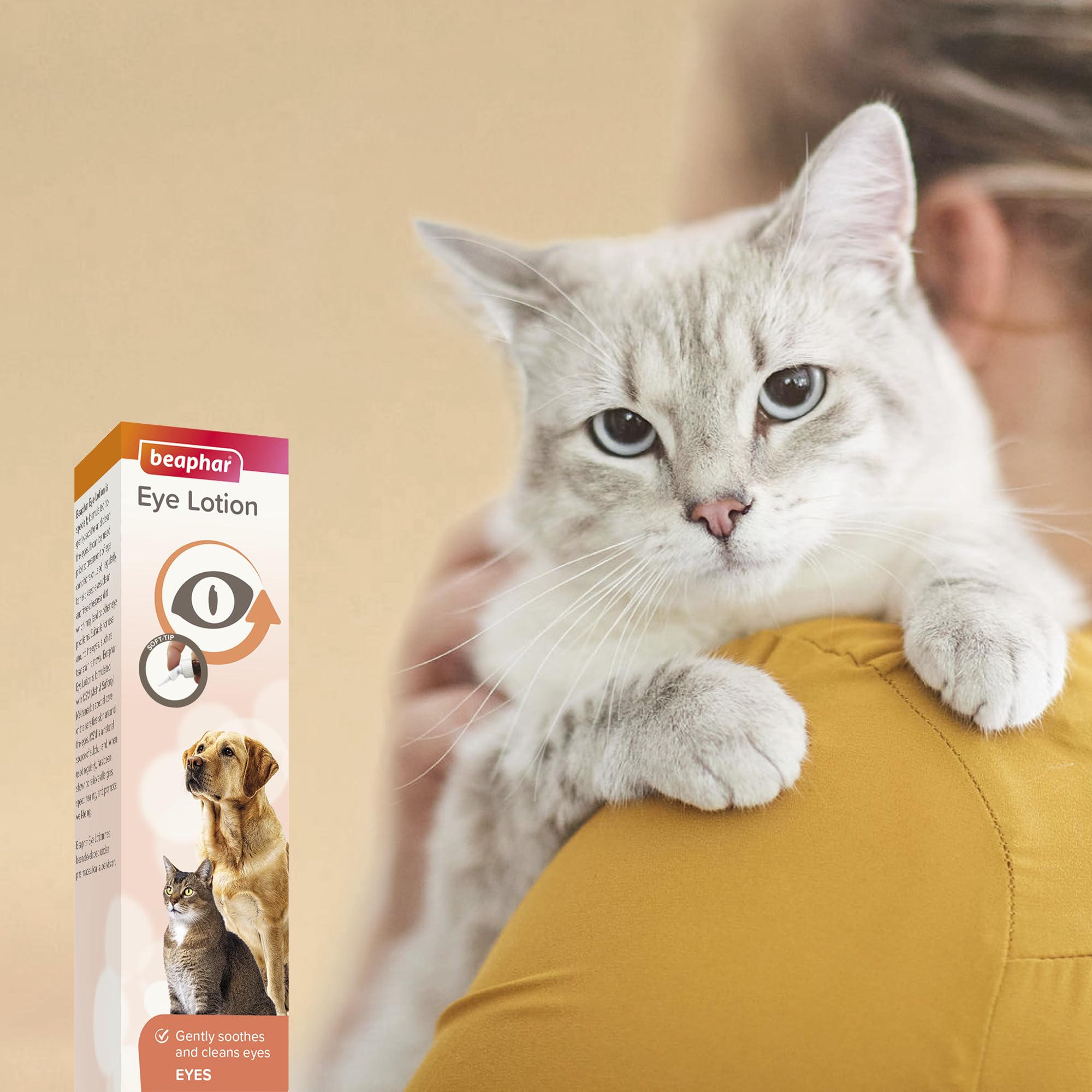 Beaphar Eye Lotion for Cats and Dogs - Cleans Sensitive Eye Area & Removes Tear Stains | 50 ml 6