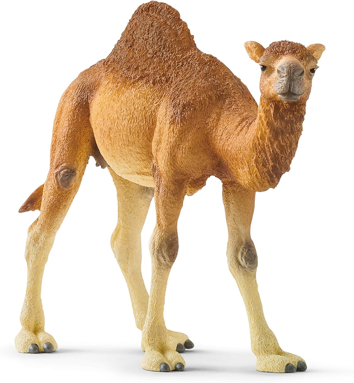 Schleich 14832 Dromedary Wild Life Toy Figurine | Ages 3-8 | Beige/Brown