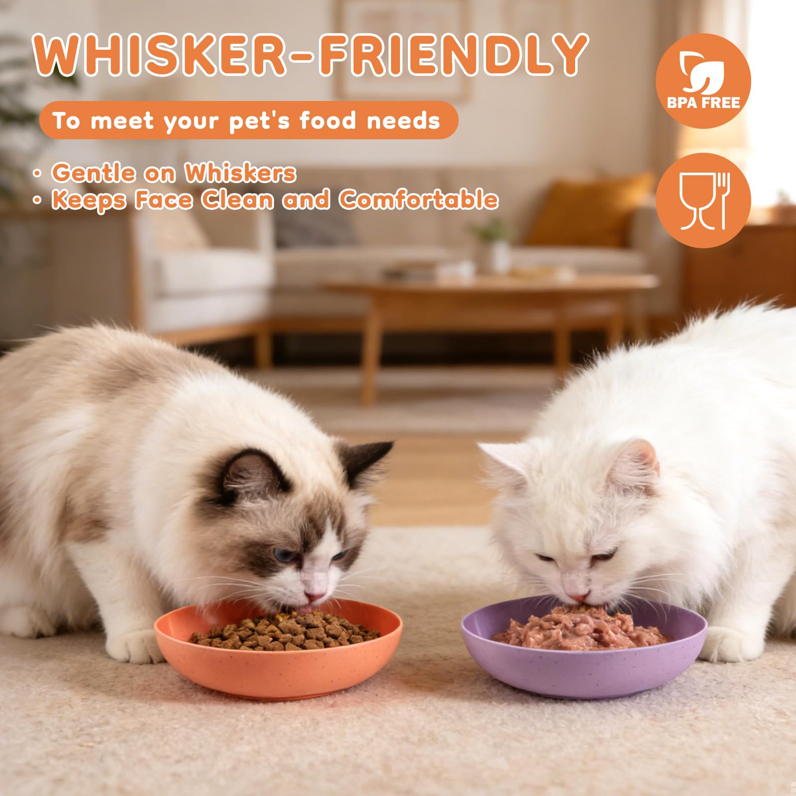 MOXYOY 5-Pack Cat Bowls - Whisker Friendly Shallow Design | Food Grade PP Material | Includes Storage Box 4