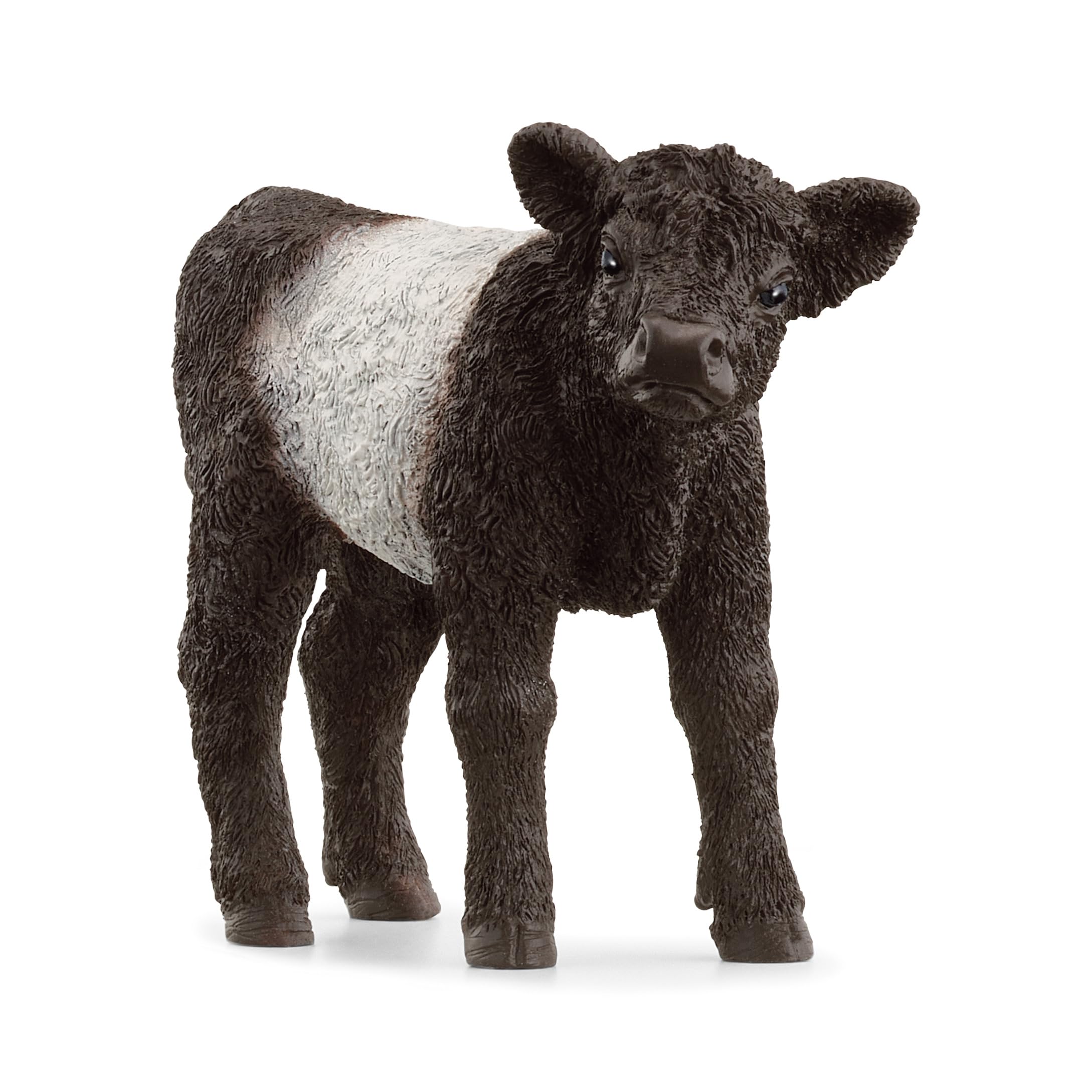 Schleich FARM WORLD Galloway Calf Figurine 13969 | Ages 3+ | Black PVC
