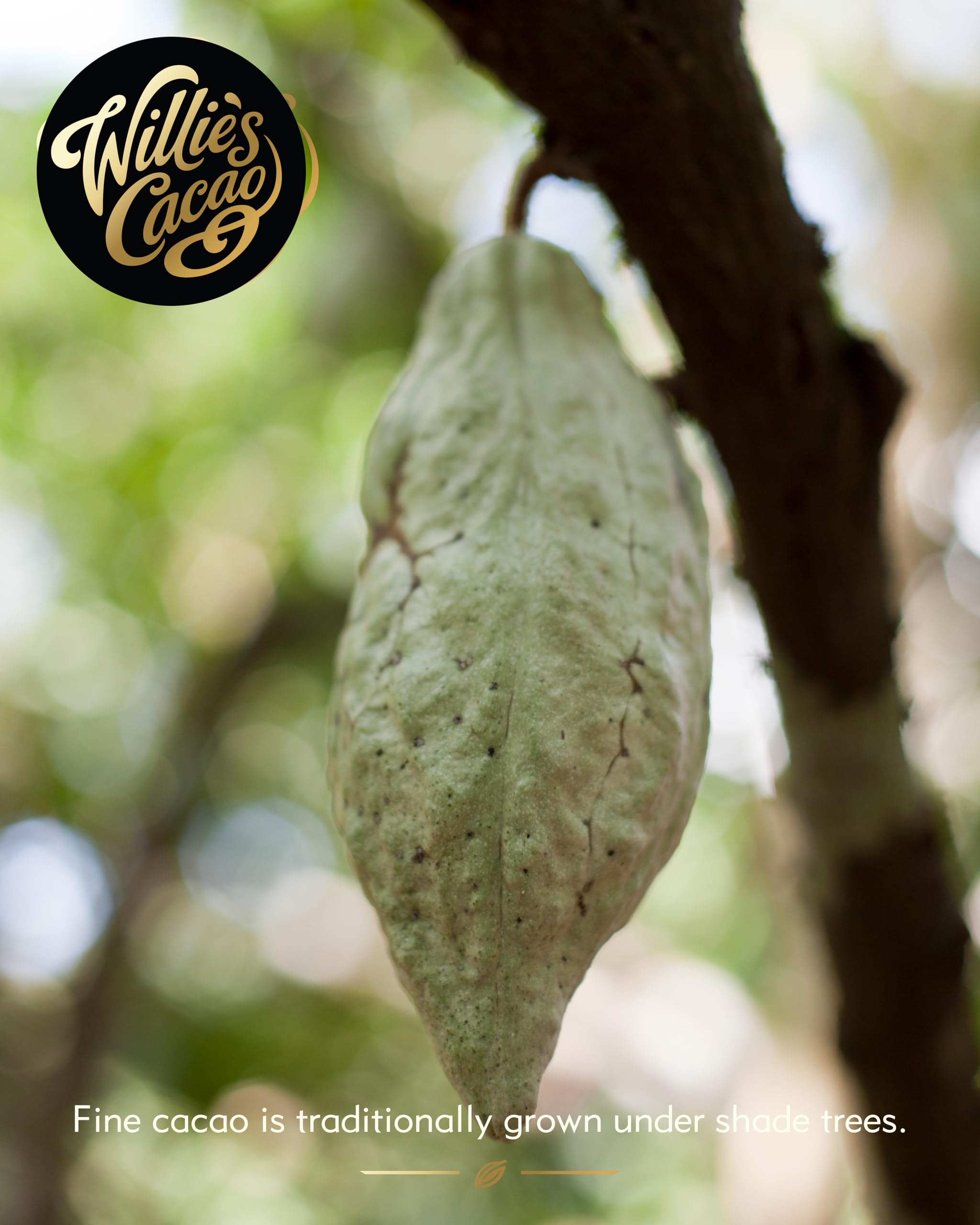 Willie's Cacao Bar - Milk of the Stars, Surabaya 54% Milk Chocolate - 50g