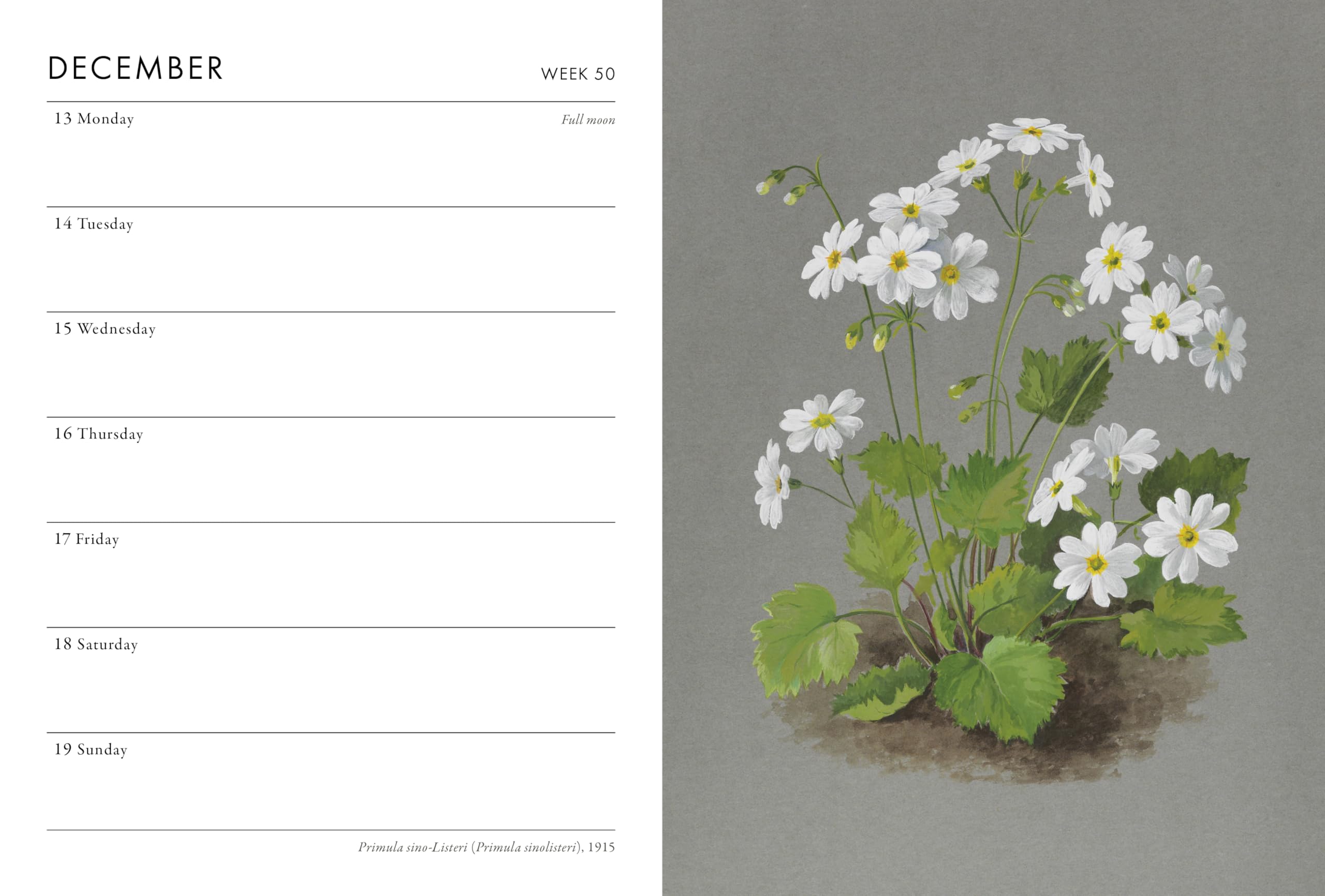 Frances Lincoln RHS Pocket Diary 2027 - Week-to-View Layout | Botanical Art Illustrations 5