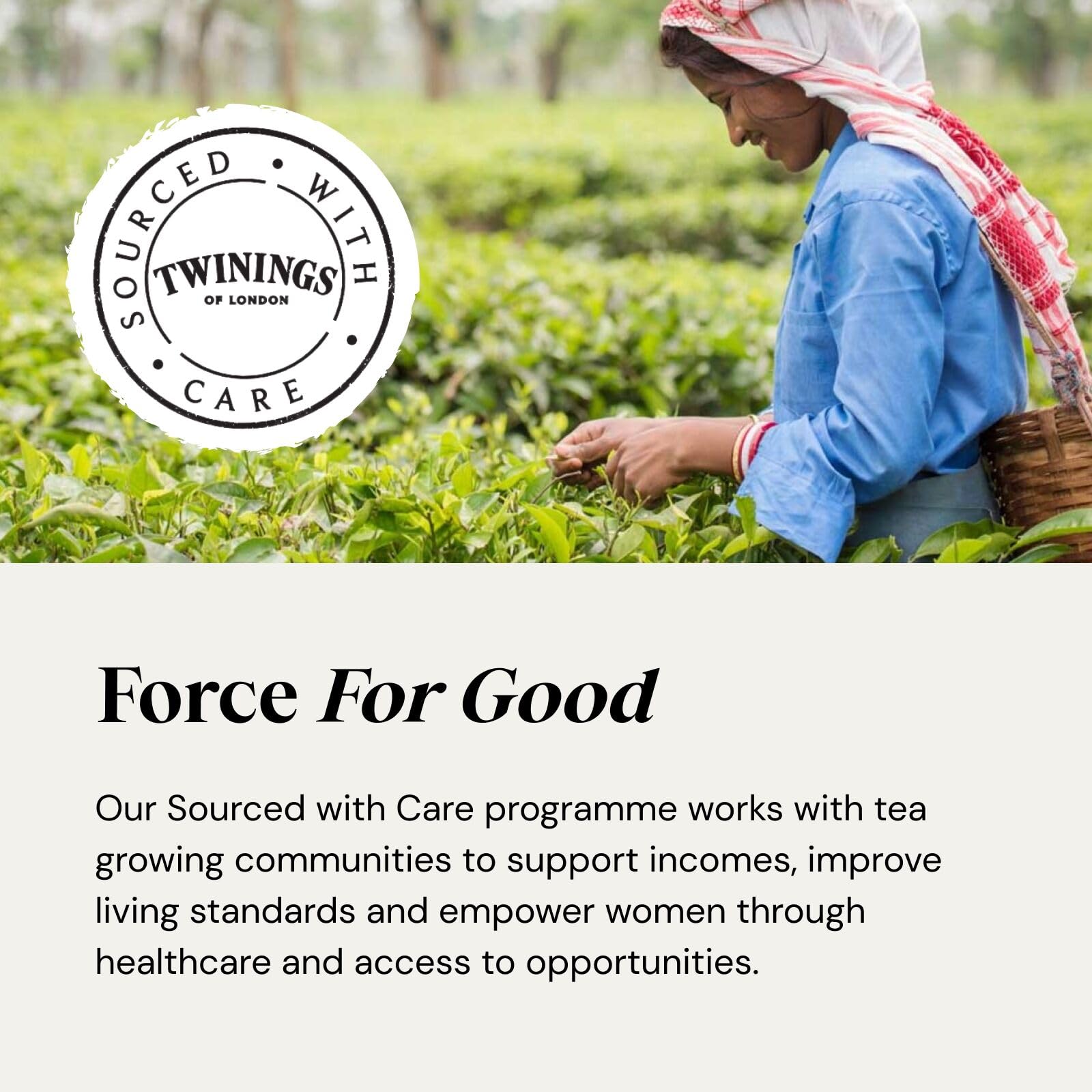 Twinings Superblends Collection Gift Box - 40 Tea Bags in 8 Organic Herbal & Green Infusions 6