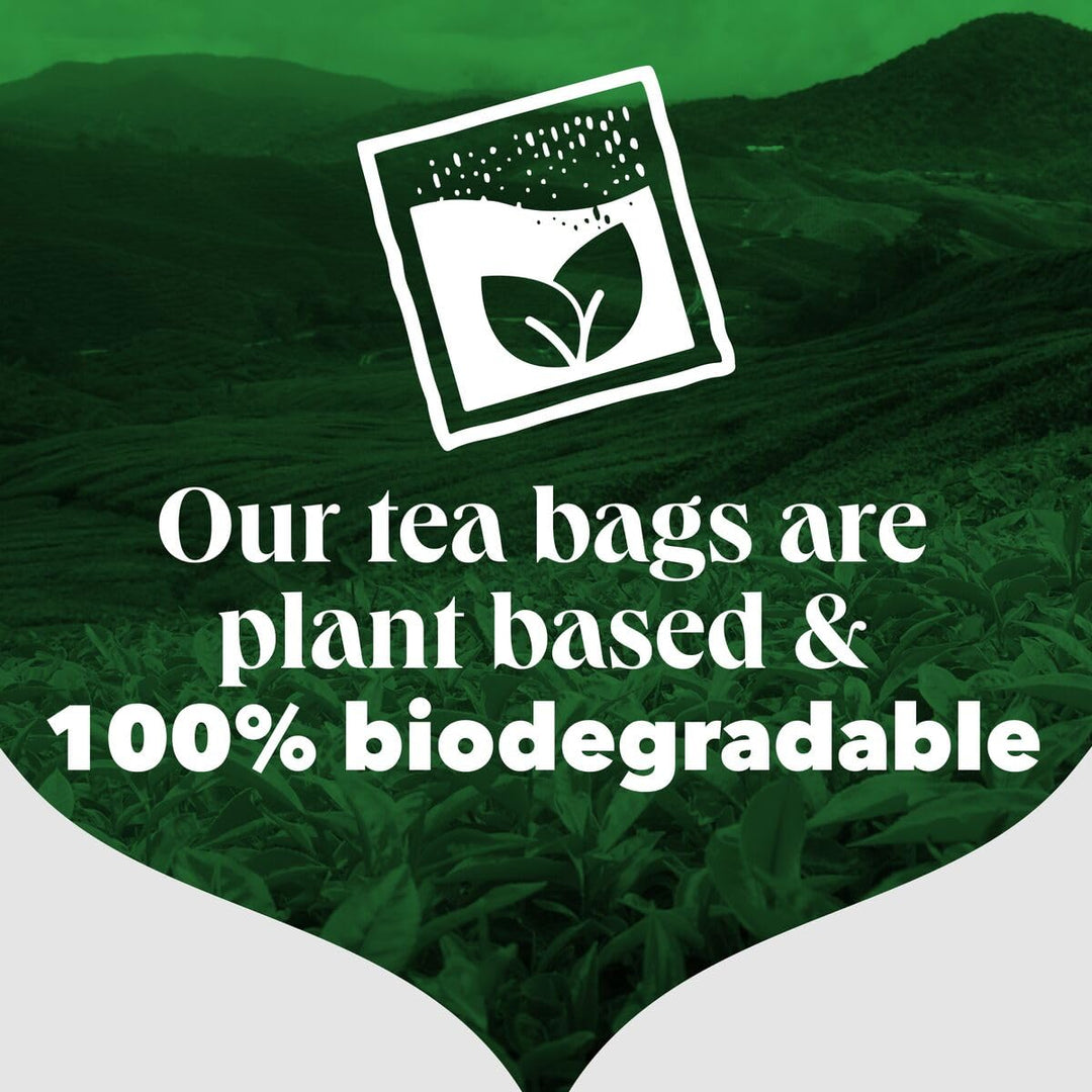 PG Tips - Raspberry Leaf Tea Bags, 150 Individually Wrapped Biodegradable Tea Bags