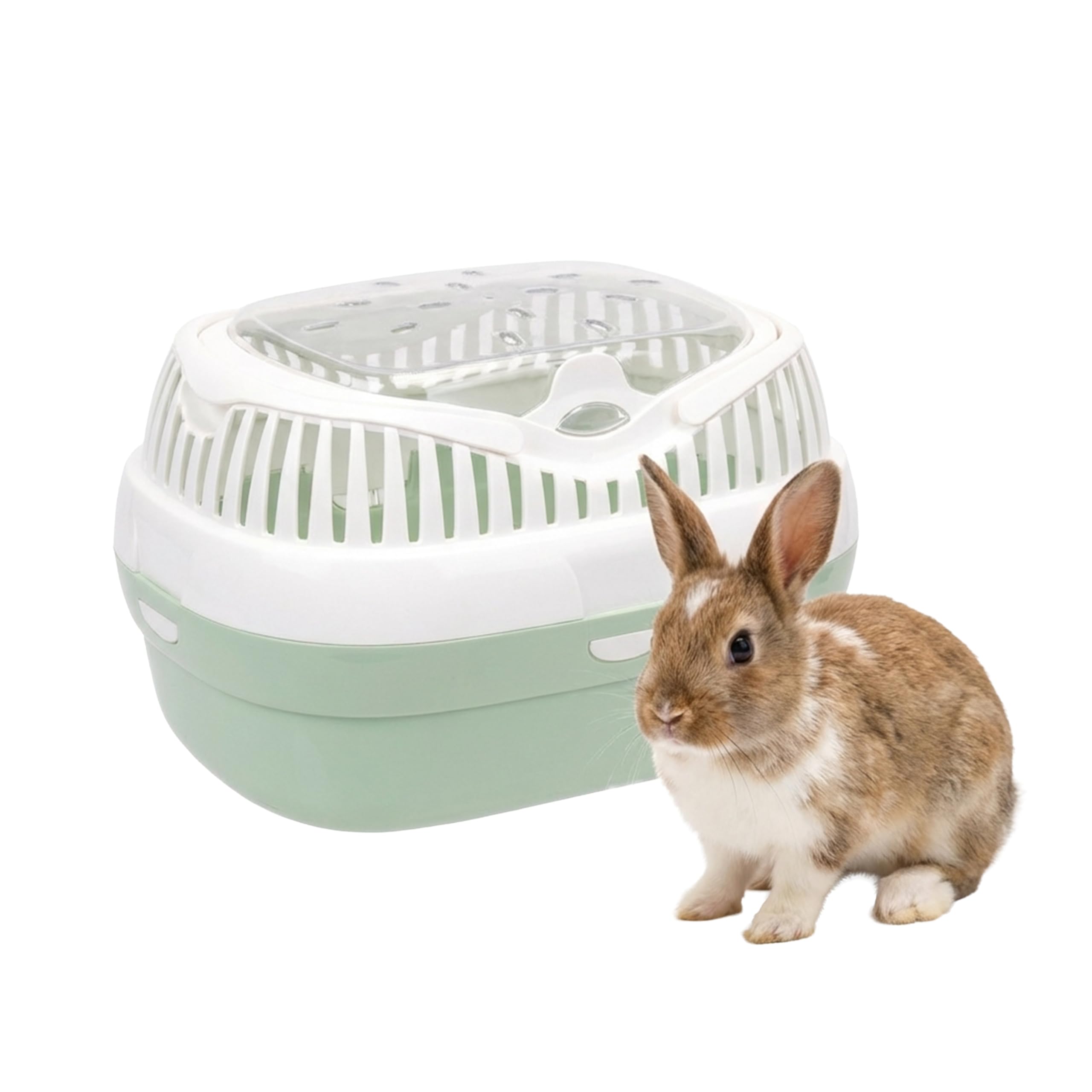 Ferplast Aladino Large Pet Carrier for Guinea Pig, Rabbit, Rat | Max 3 kg