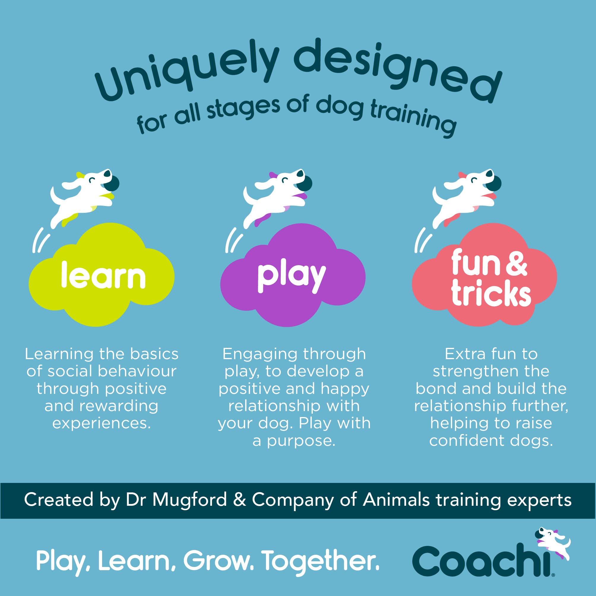 Coachi Tuggi Tug - Interactive Dog Toy for Tug of War & Training | Strong Polyester | Navy, Lime & Light Blue 5