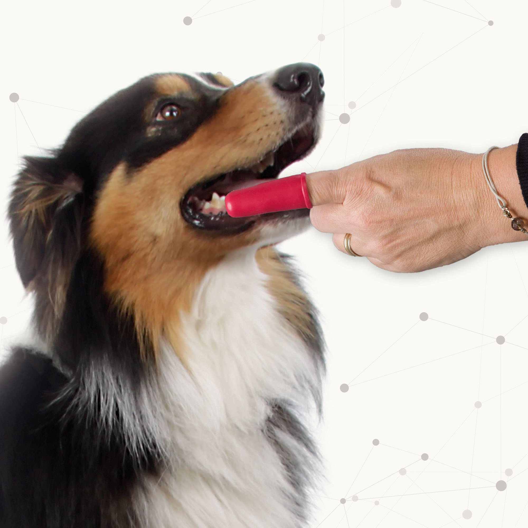 Beaphar Finger Toothbrush for Dogs and Cats - Gentle Cleaning, Red, 2 Count Pack 3