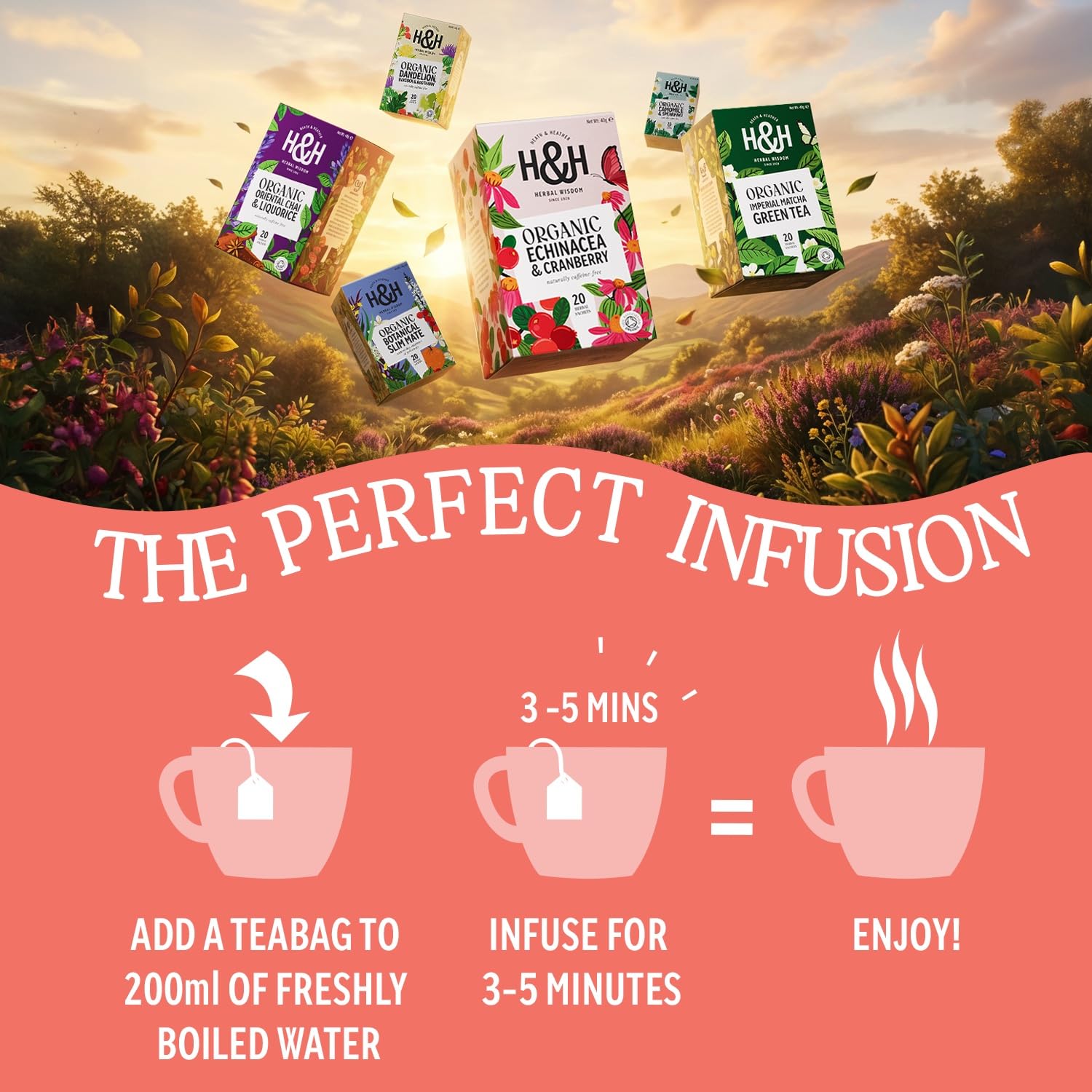 Heath & Heather Organic Apple & Cinnamon Herbal Tea - 20 Count Teabags | Supports Digestion & Relaxation 4