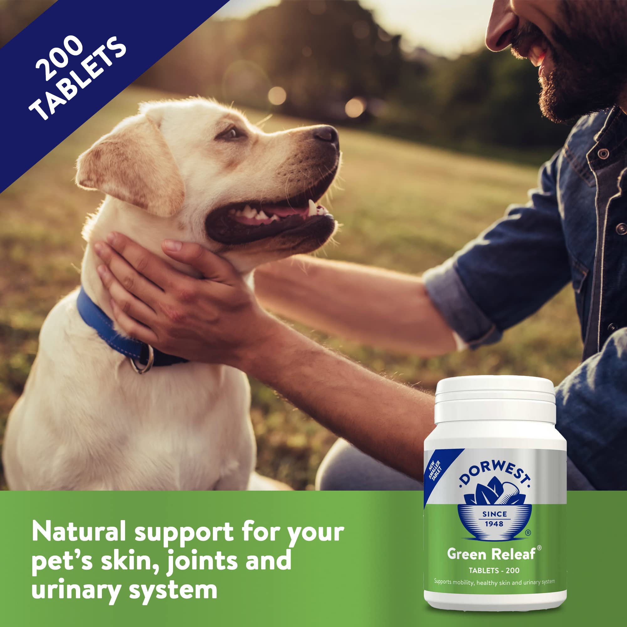 DORWEST HERBS Green Releaf Tablets - Natural Support for Skin, Joints & Urinary System | 200 Tablets