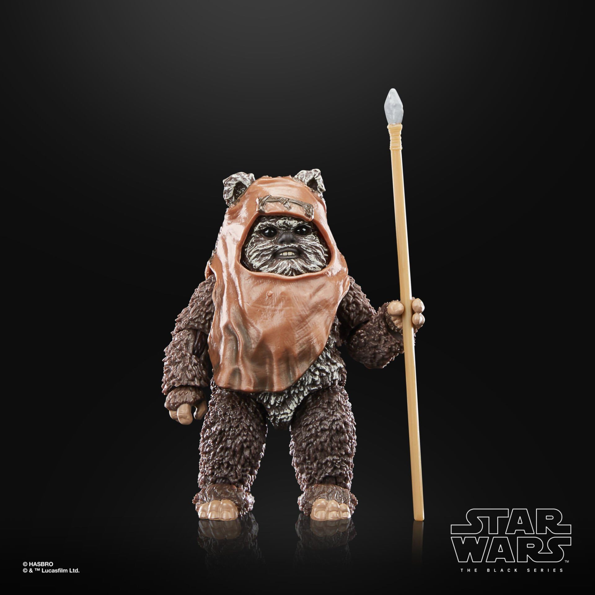 Hasbro Star Wars The Black Series Wicket Action Figure - 6-Inch Collectible from Return of the Jedi 17