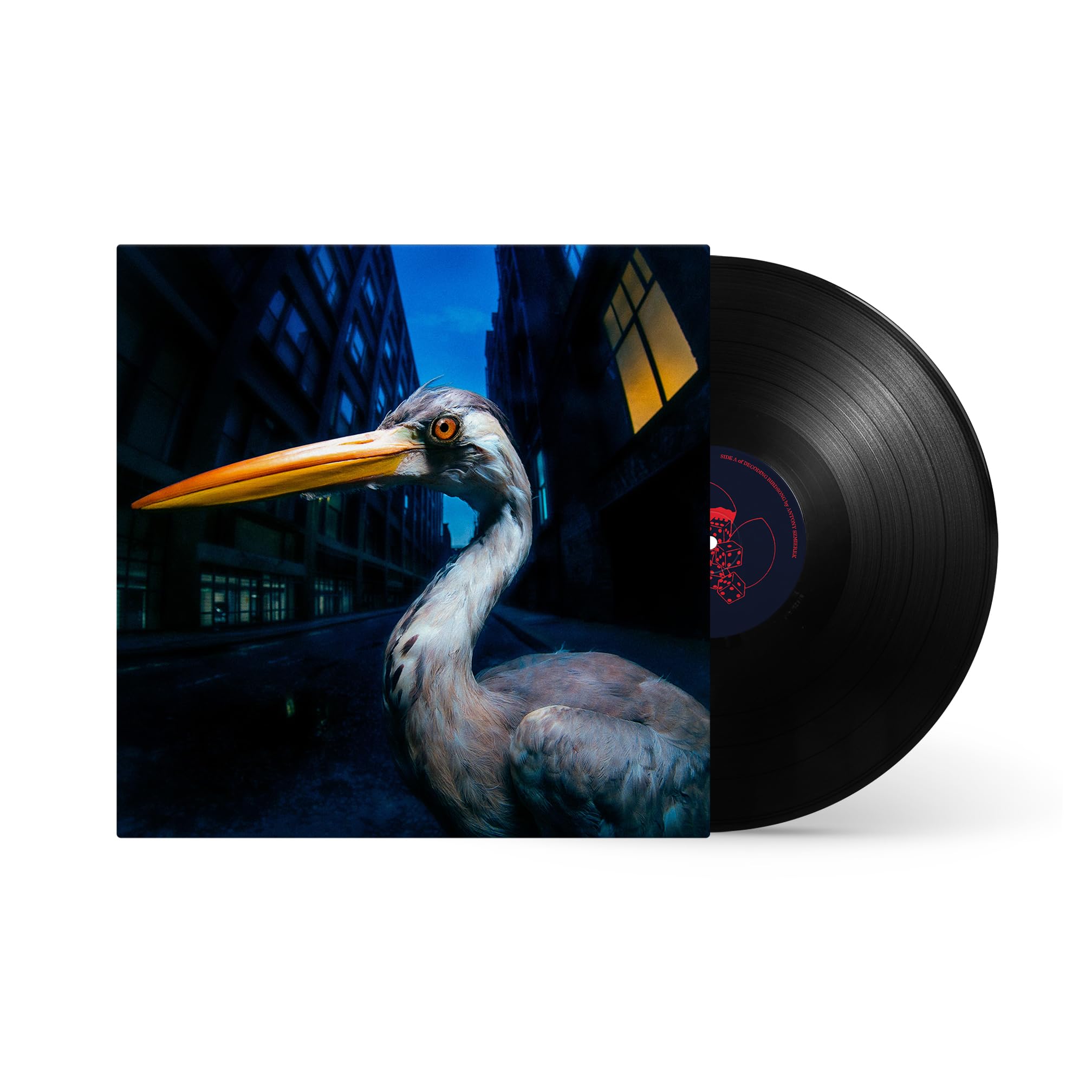 Antony Szmierek - Decoding Birdsong [VINYL] 1