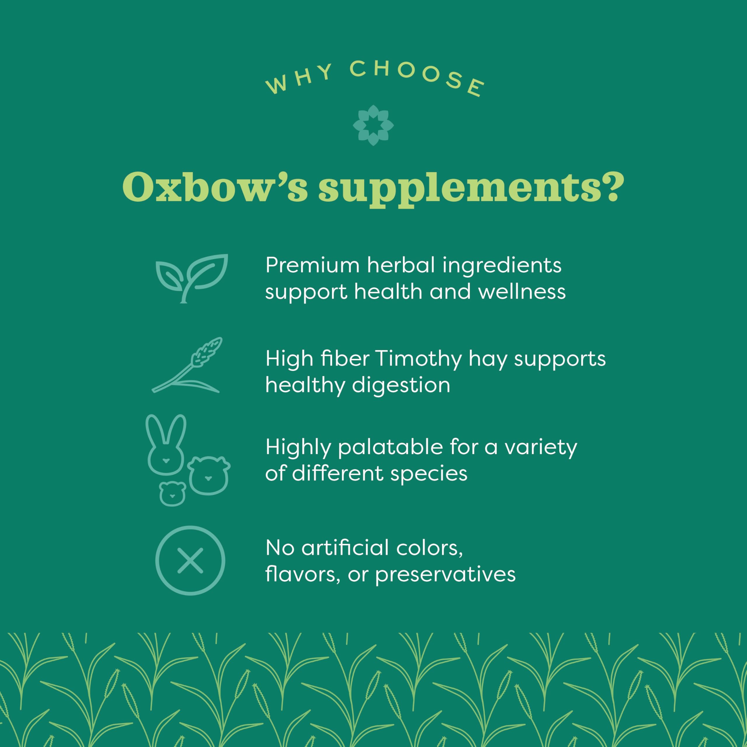 Oxbow Natural Science Joint Support Supplement for Small Animals | Glucosamine & Turmeric | 119g 2