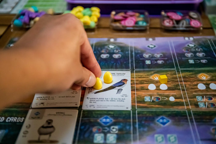 Stonemaier Games Wingspan: Oceania Expansion Board Game