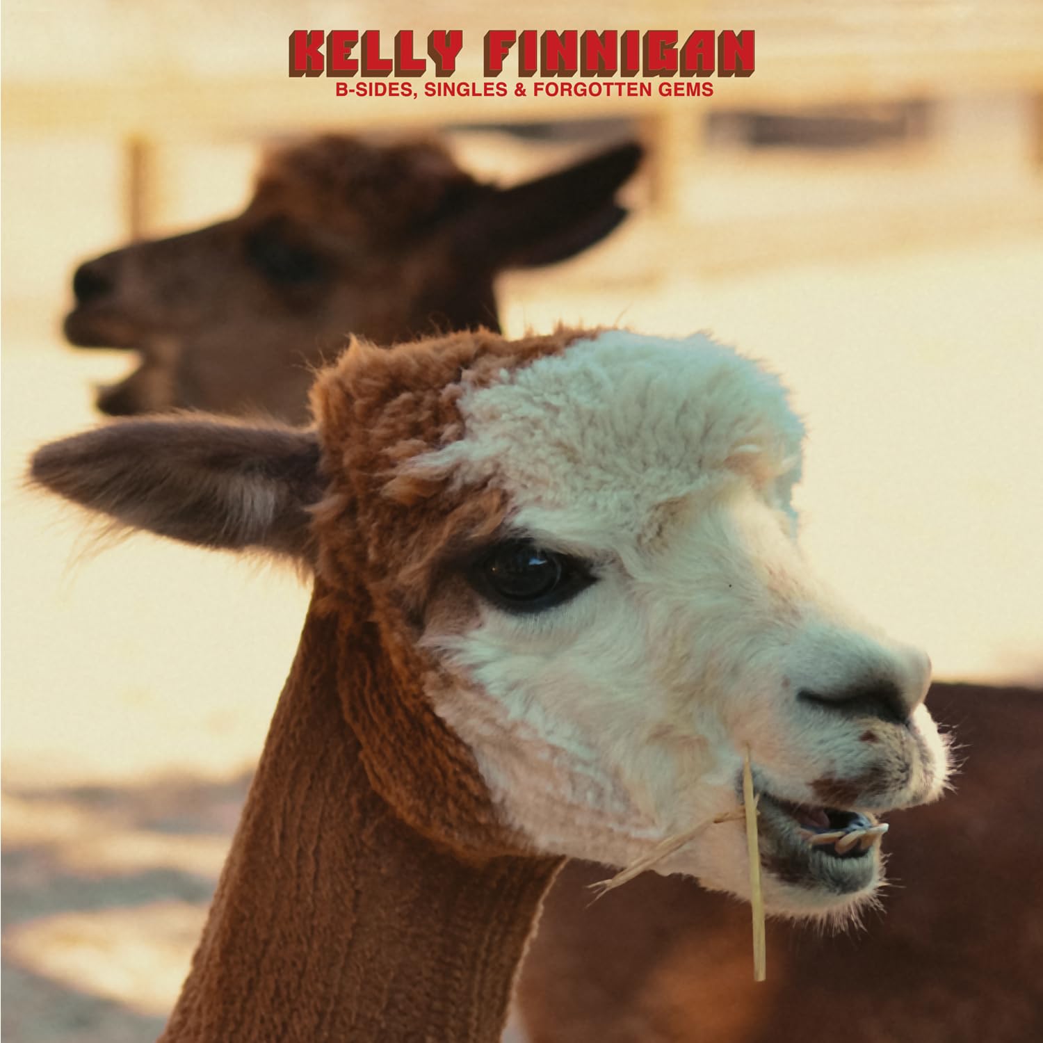 Kelly Finnigan - B-Sides, Singles & Forgotten Gems [Vinyl]