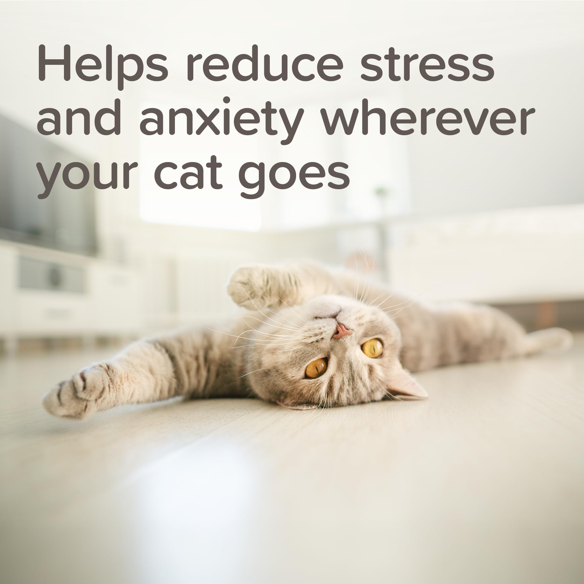 Beaphar StressLess Herbal Calming Spot-On for Cats - 3 Pipettes | Up to 1 Week Relief Per Application 3