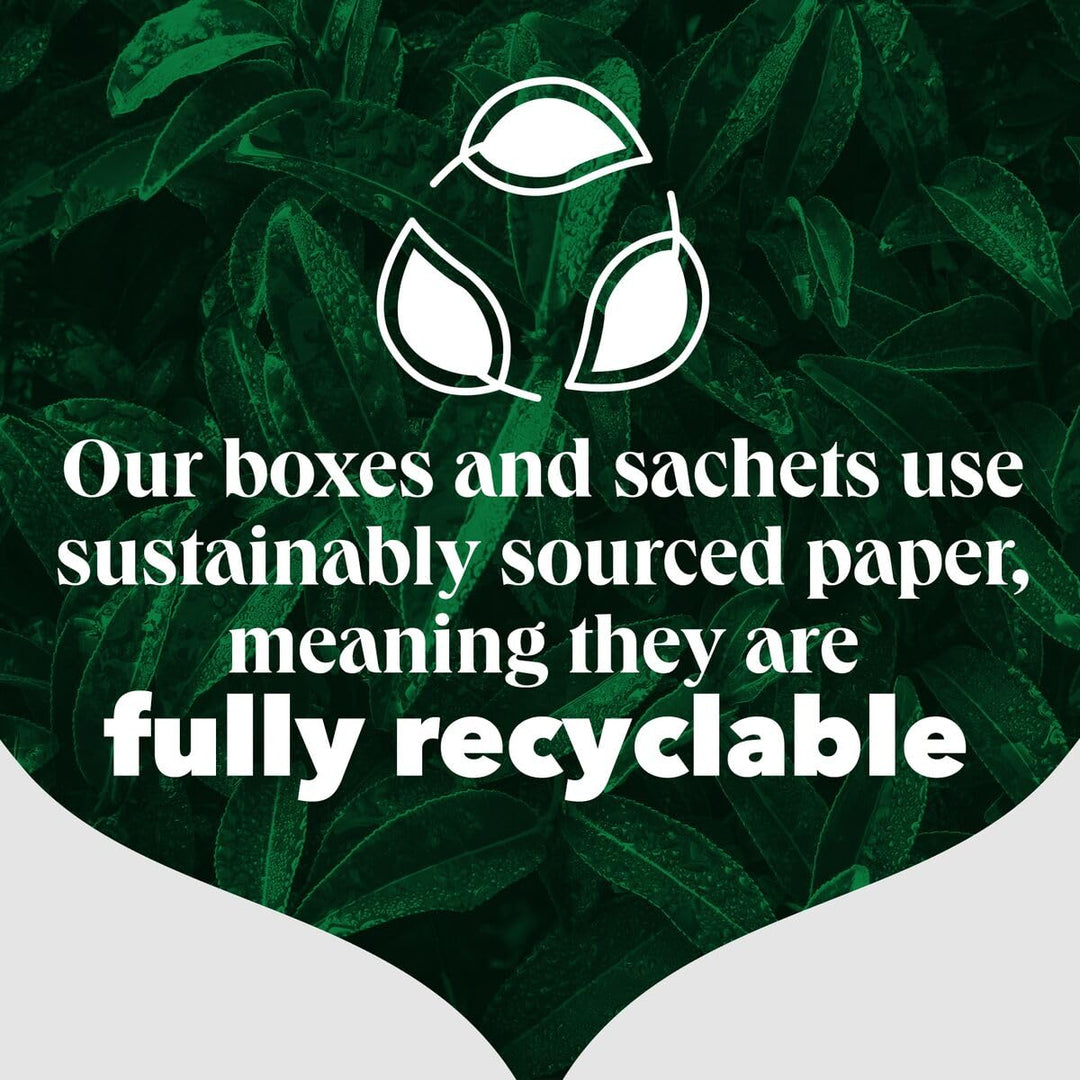 PG Tips - Raspberry Leaf Tea Bags, 150 Individually Wrapped Biodegradable Tea Bags