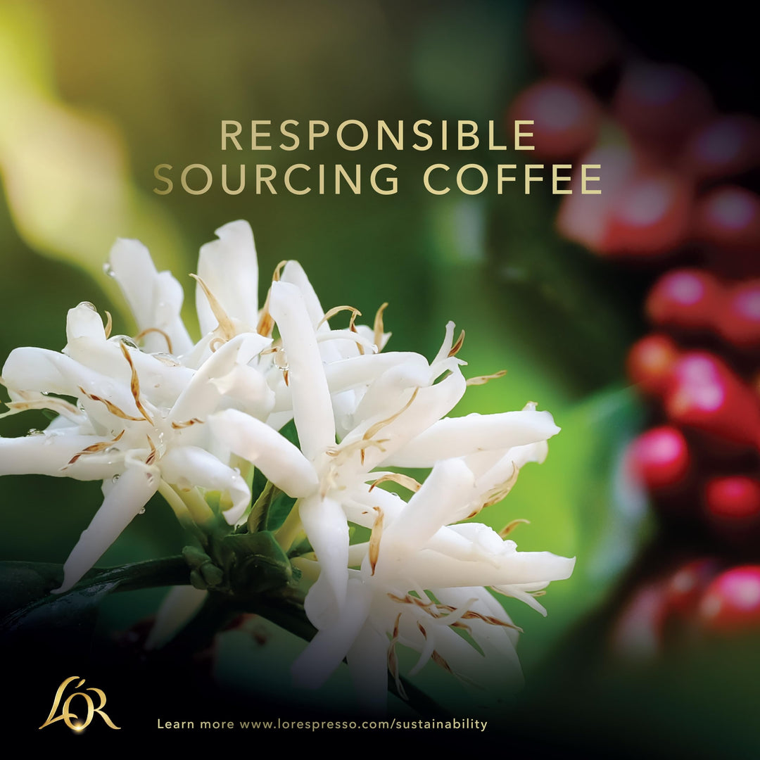 L'OR Espresso Onyx Coffee Beans 200g - Intense Full-Bodied Roast, Rainforest Alliance Certified (Pack of 4, 800g Total)