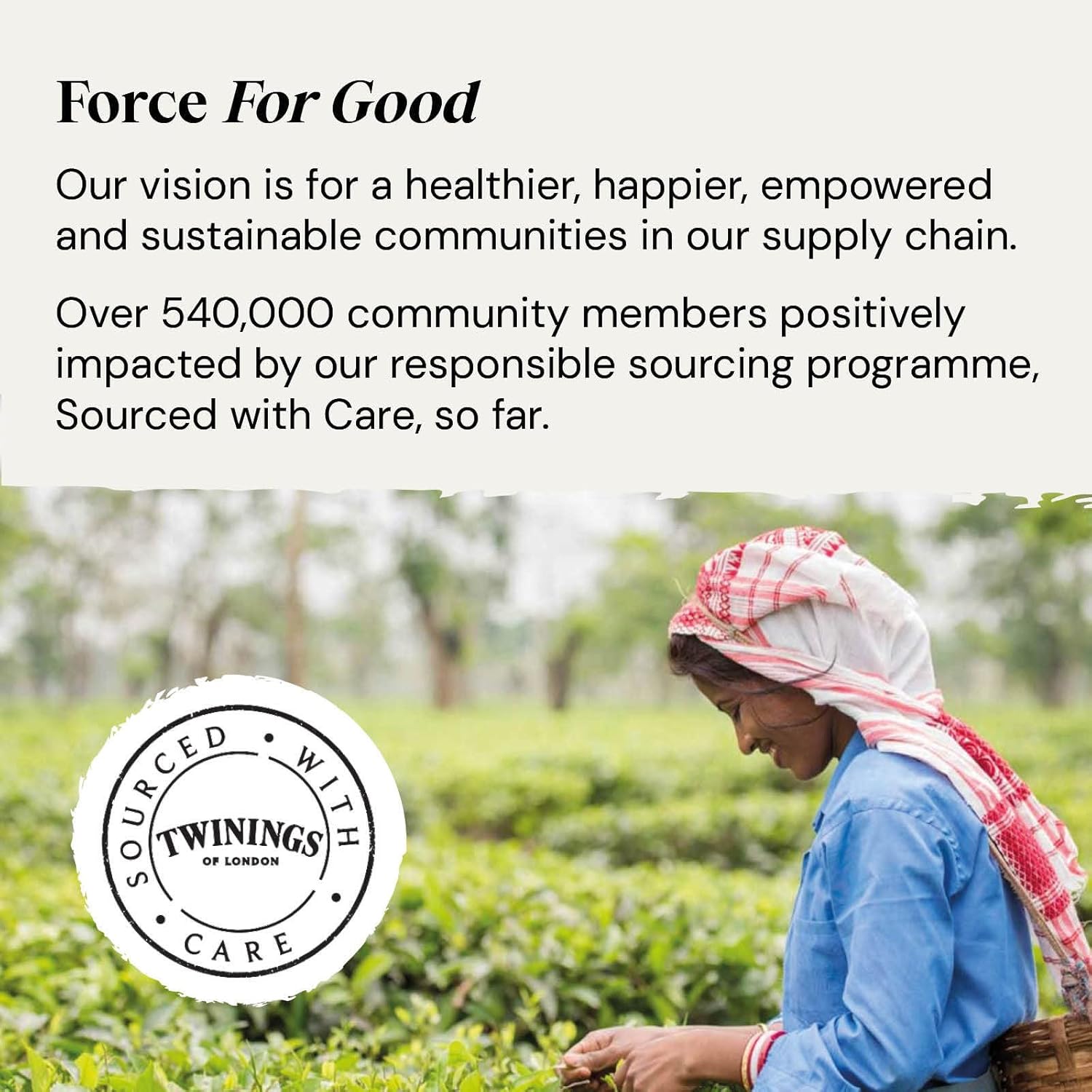 Twinings Superblends Super Green Matcha Tea, 80 Tea Bags (4 x 20) 5