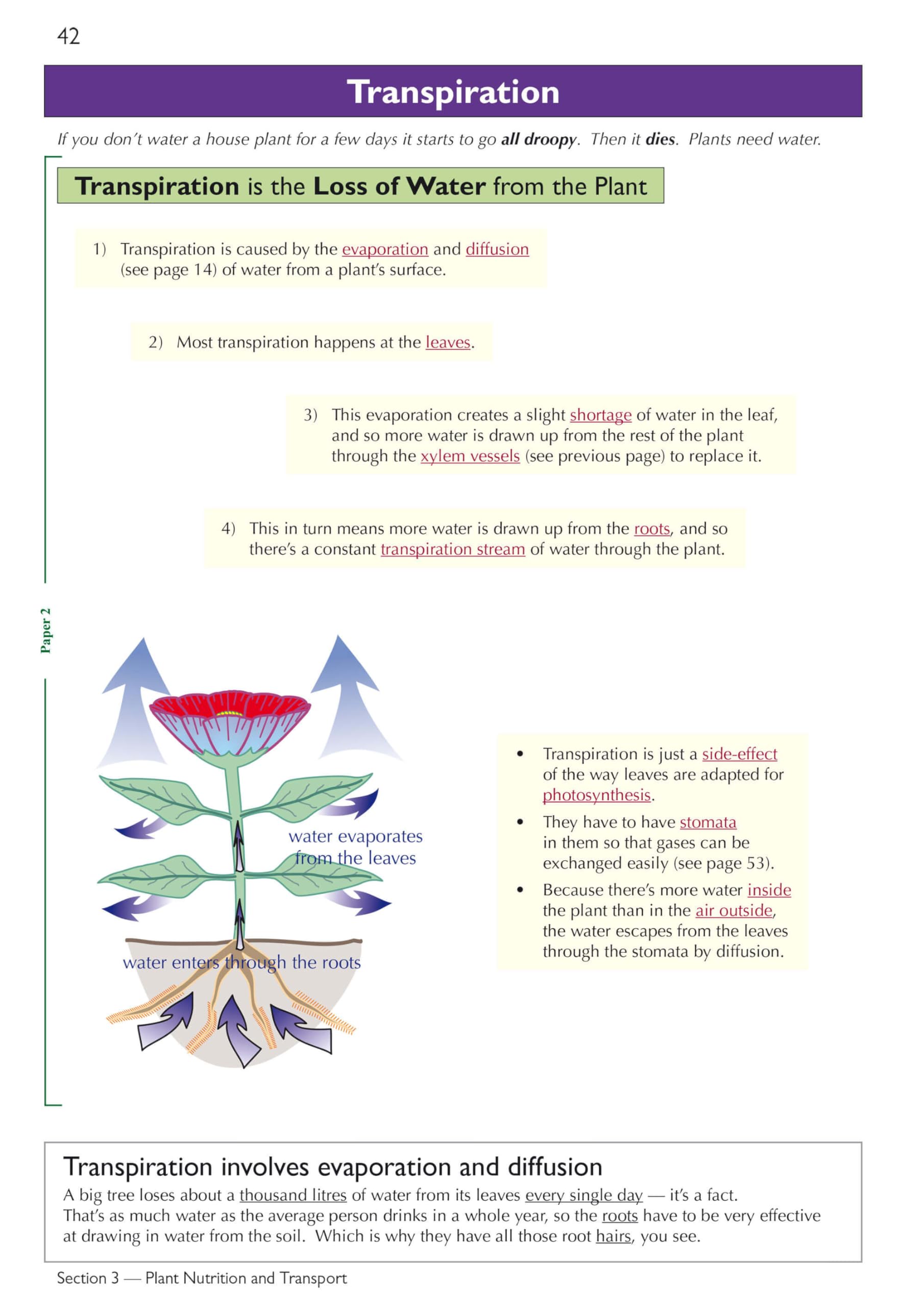 CGP Grade 9-1 Edexcel International GCSE Biology: Complete Revision & Practice with Online Edition | Paperback 4