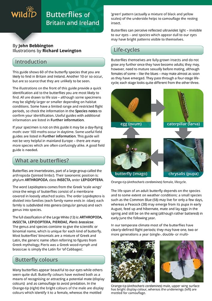 Field Studies Council Guide to the Butterflies of Britain and Ireland | Paperback Field Guide 4
