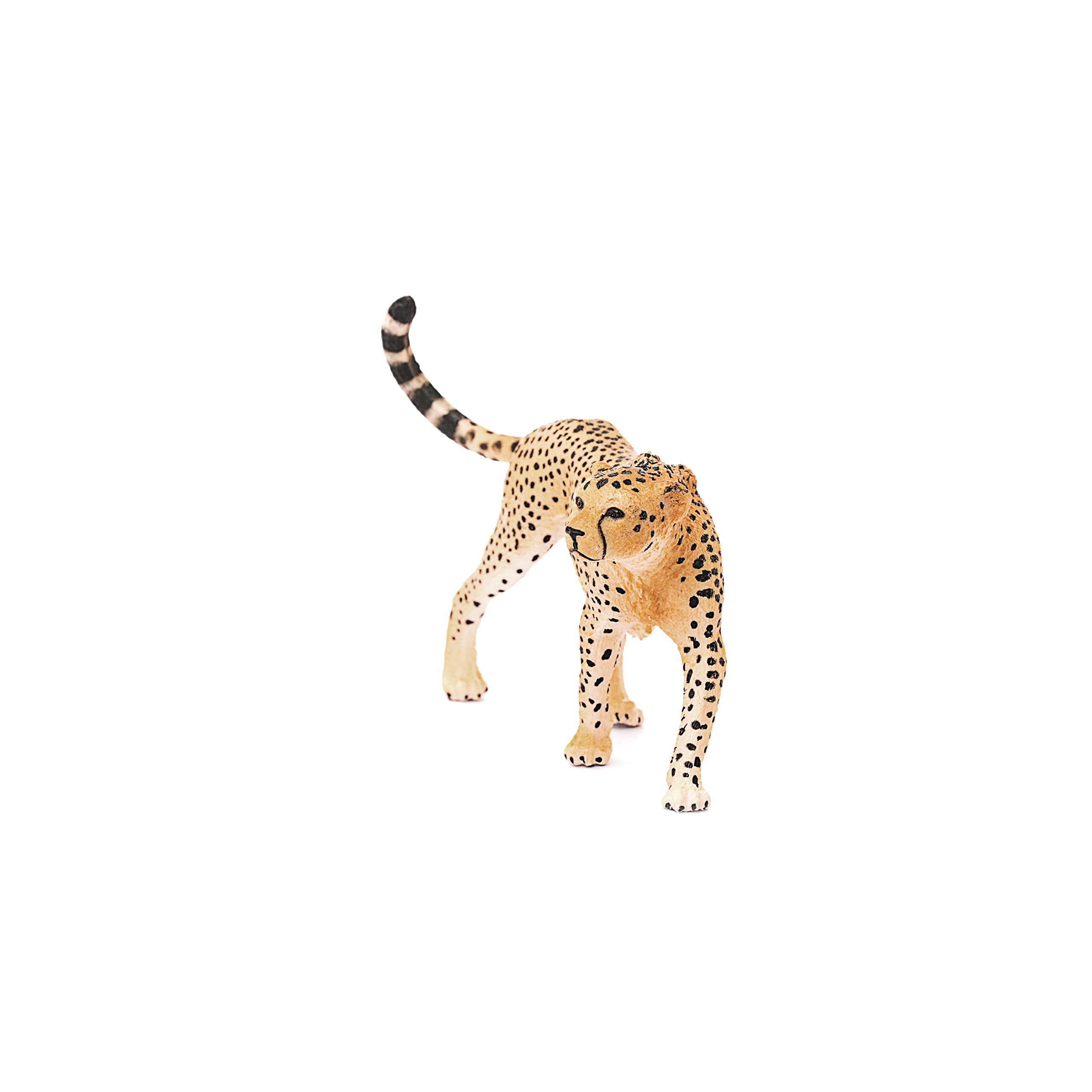 SCHLEICH Cheetah Female - Hand-Painted Wildlife Figurine for Kids 3+ 4