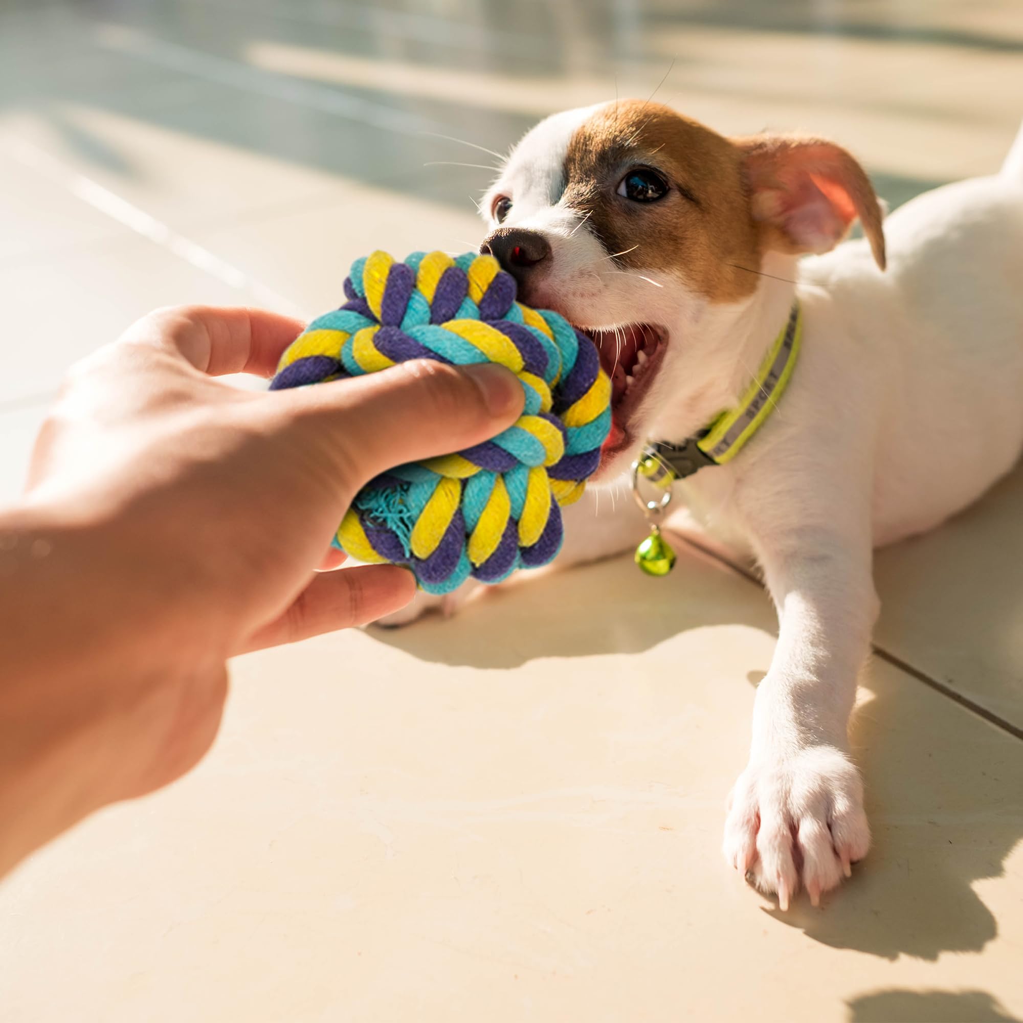 Fur & Bone 10-Pack Indestructible Dog Chew Toys - Durable Cotton Rope & Tug Toys for All Breeds 9