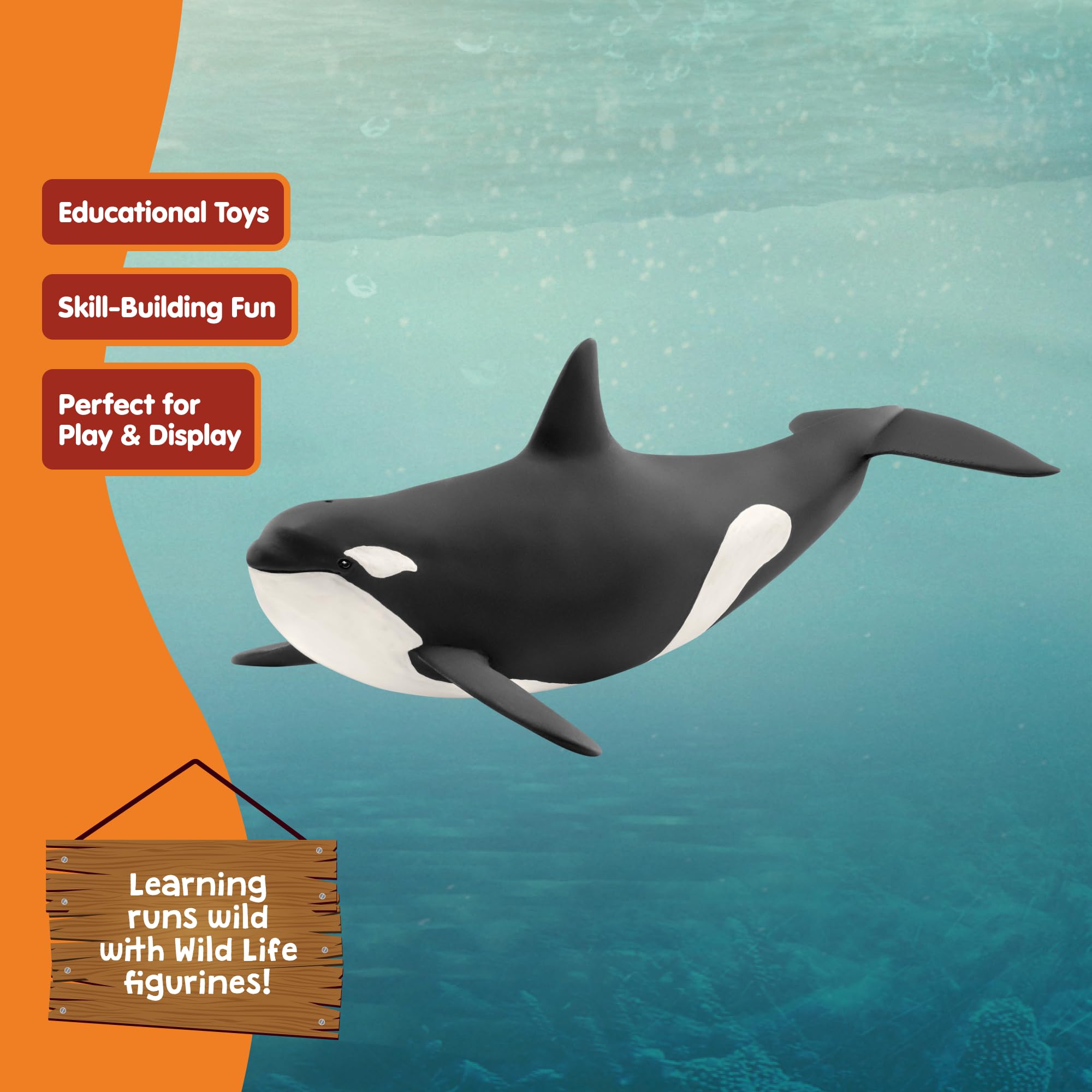 Schleich 14807 Wild Life Killer Whale Figurine - Black & White, Ages 3+ 7