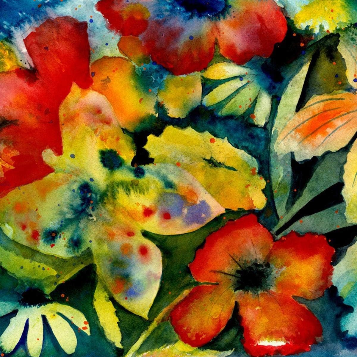 Big Thief - Songs and Instrumentals [Audio CD]