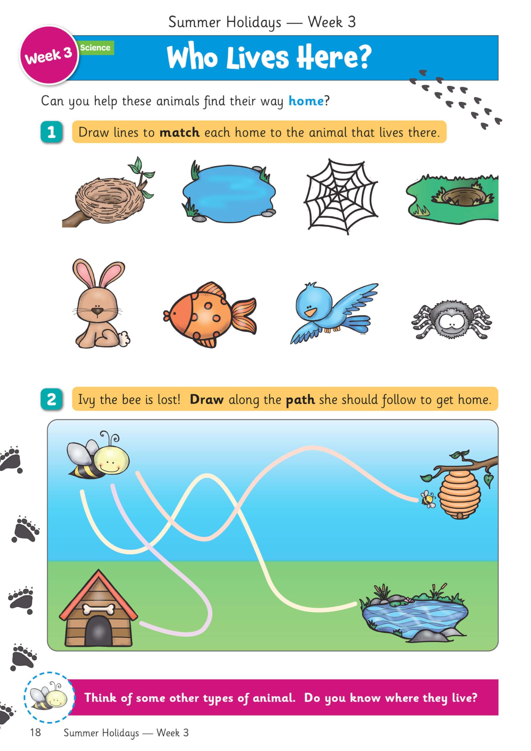 CGP Summer Holidays Activity Workbook - Reception to Year 1 Transition | 64 Pages | English
