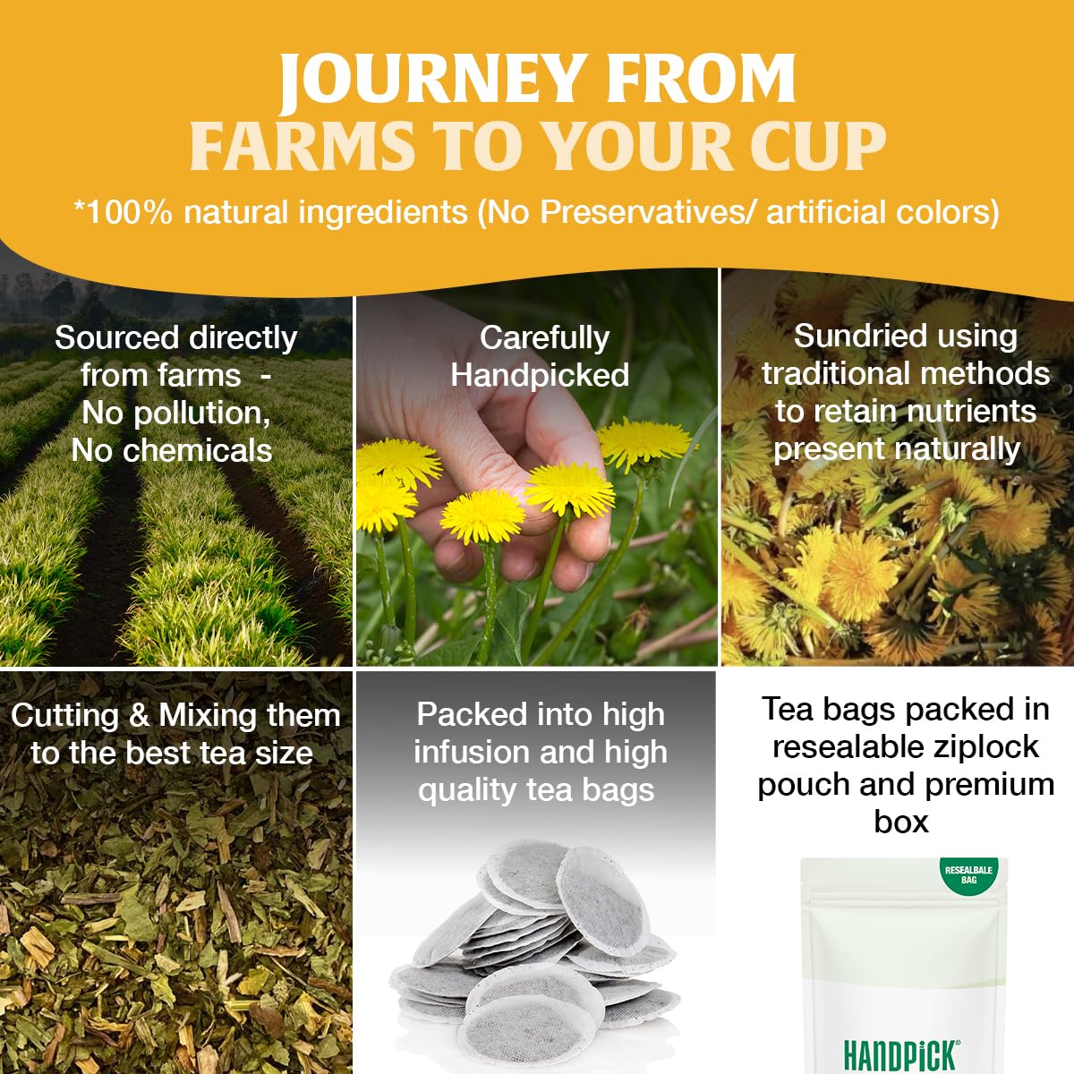 HANDPICK Dandelion Root & Leaf Tea Bags (100 Herbal Tea Bags) Caffeine-Free 9