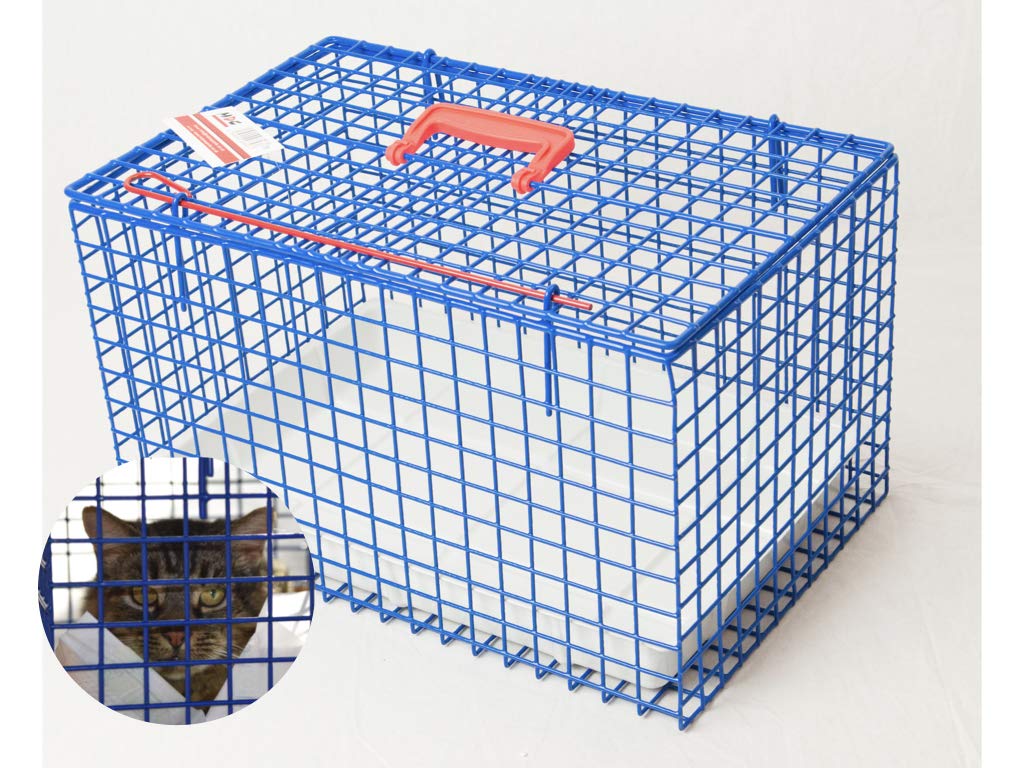 MDC Value Cat Carrier Cover - Blue, Durable Cotton | Fits Standard MDC Baskets 3