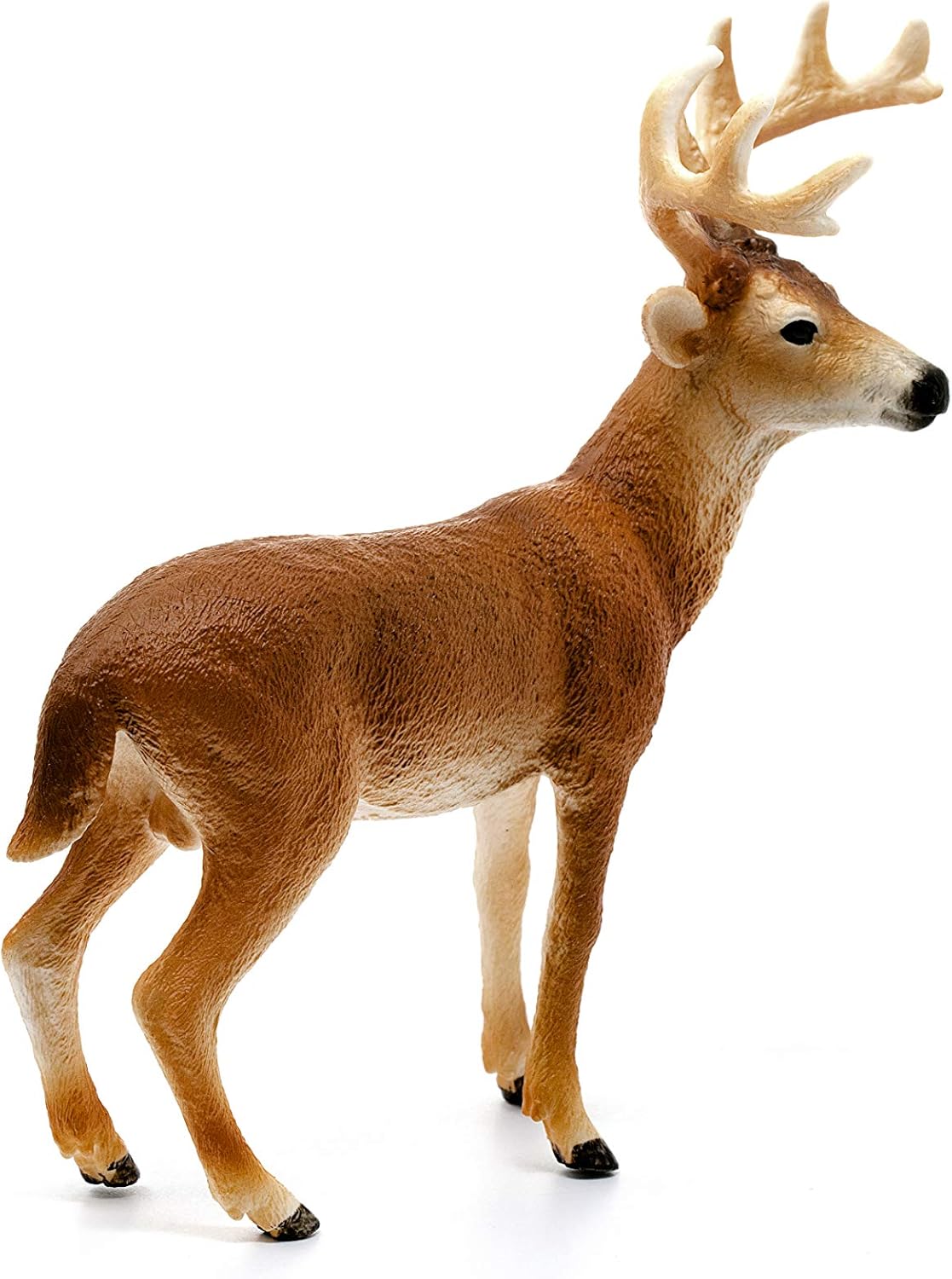 Schleich 14818 White Tailed Buck Wildlife Figurine 4